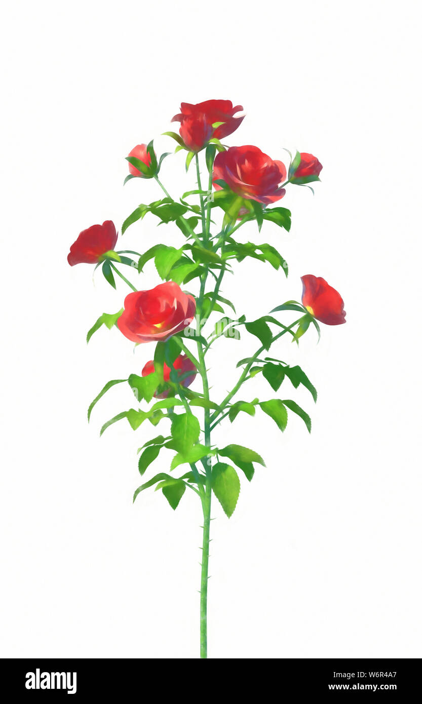 Roses rouges en peinture aquarelle Banque D'Images