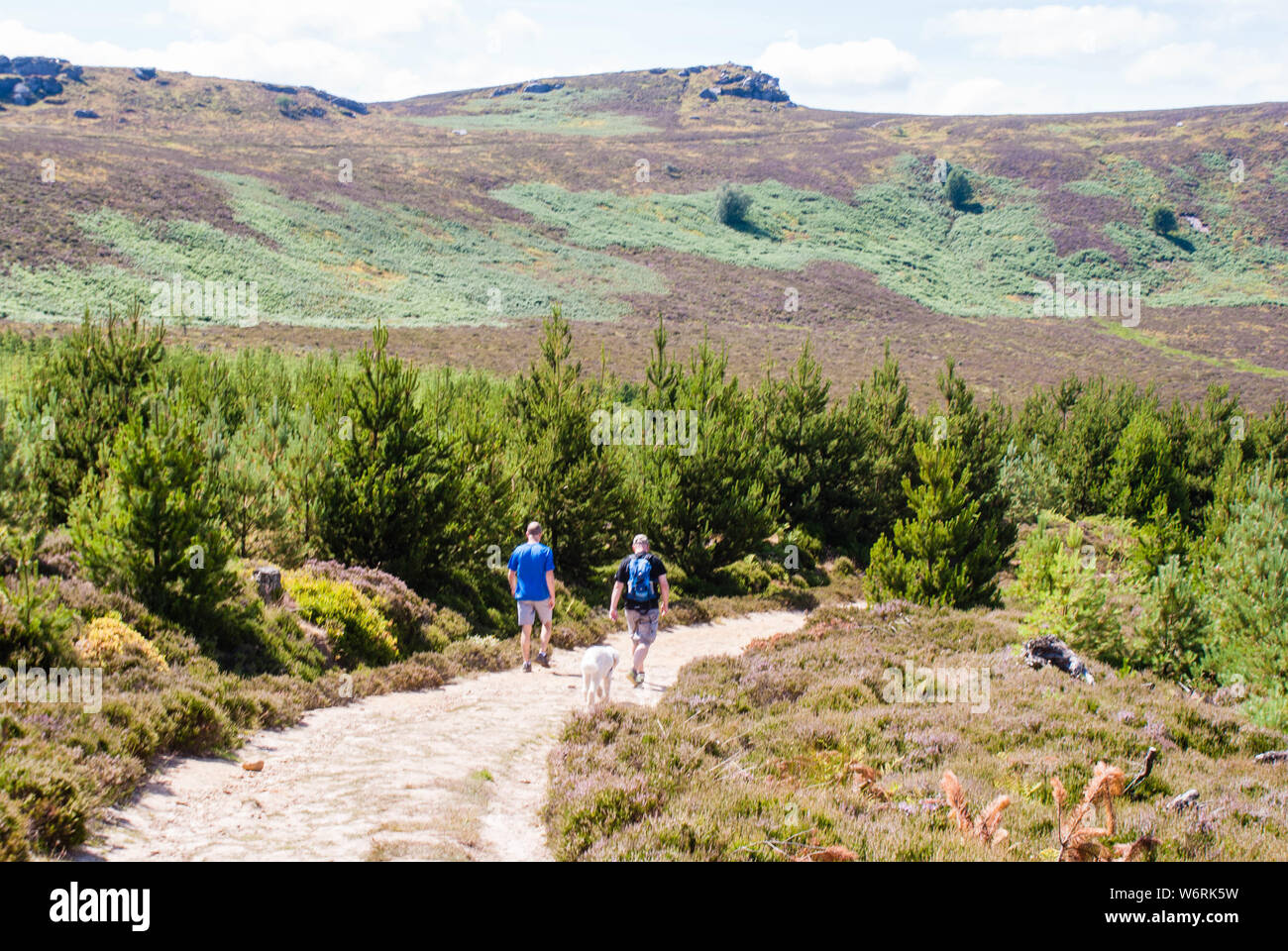Collines Simonside Banque D'Images