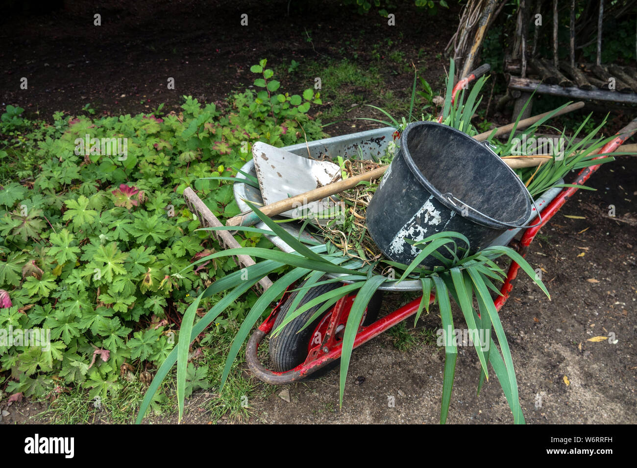 Outils de jardin et restes de plantes dans la brouette de jardin, qui seront pris pour composter des outils de jardinage Banque D'Images