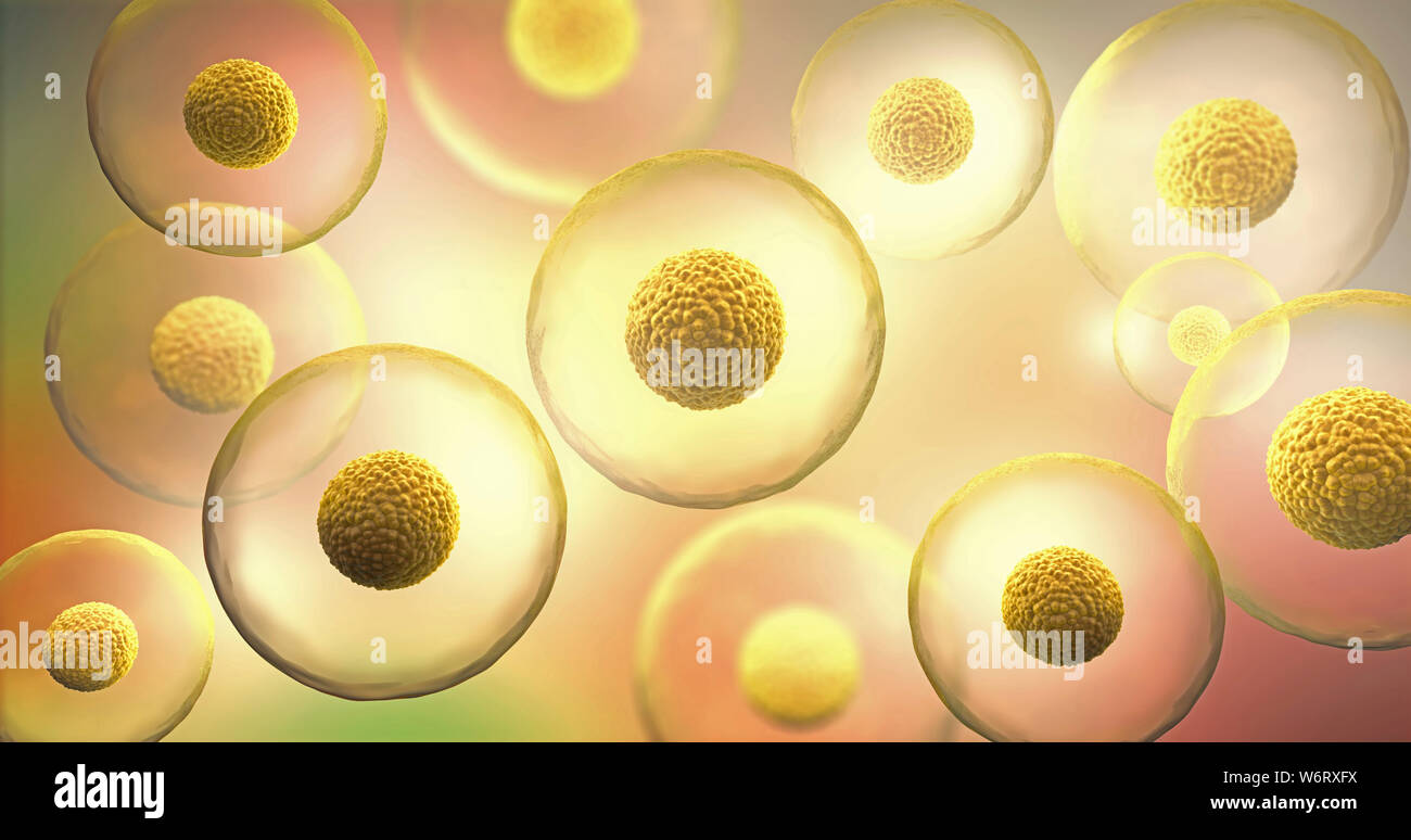 Illustration 3d de cellules transparentes avec nucleus sur fond violet. Banque D'Images