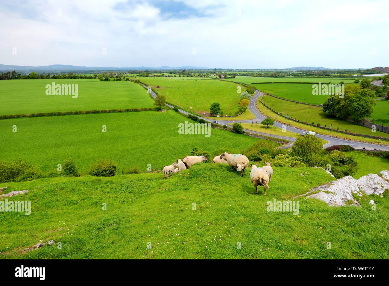 Vue panoramique sur les terres agricoles et pâturages luxuriants sans fin de l'Irlande. Belle campagne irlandaise avec le vert émeraude des champs et prairies. Paysage rural. Banque D'Images