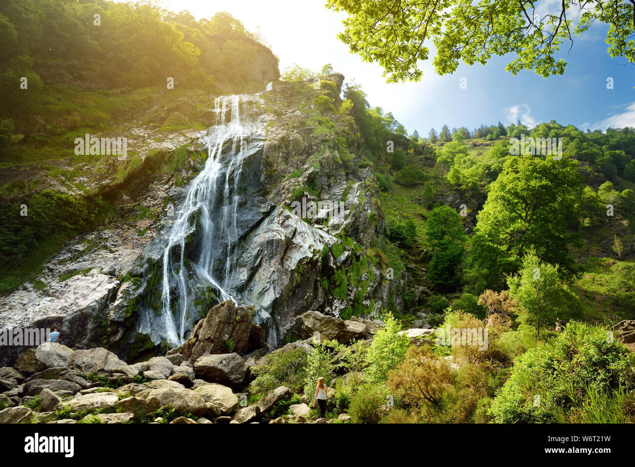 De l'eau majestueuse cascade de Powerscourt Waterfall, la plus haute cascade de l'Irlande. Célèbre attraction touristique dans le comté de Wicklow, Irlande. Banque D'Images