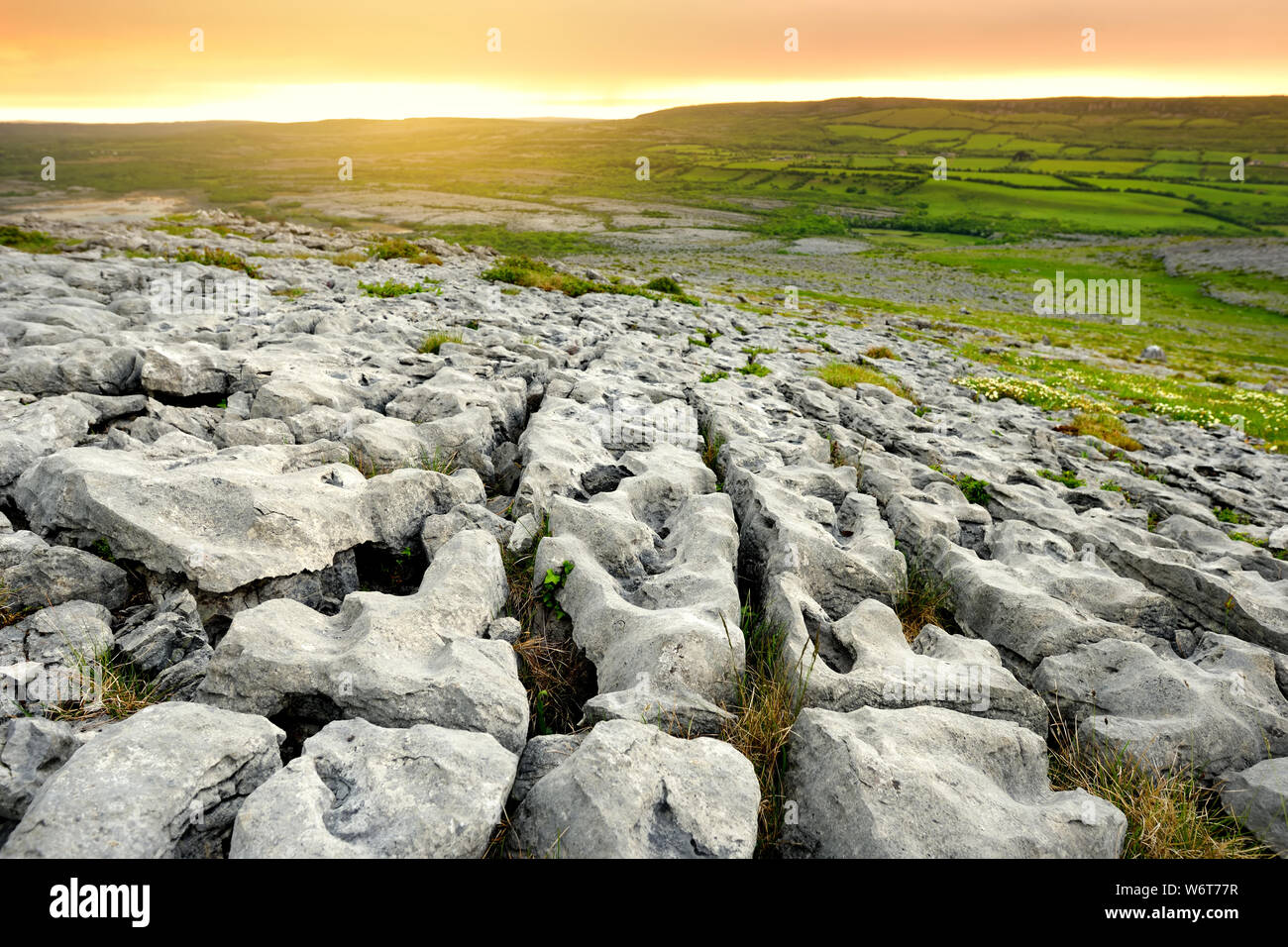 Paysage spectaculaire de la région du Burren Comté de Clare, Irlande. La roche calcaire karstique exposés à le Burren National Park. La nature irlandaise rugueuse. Banque D'Images