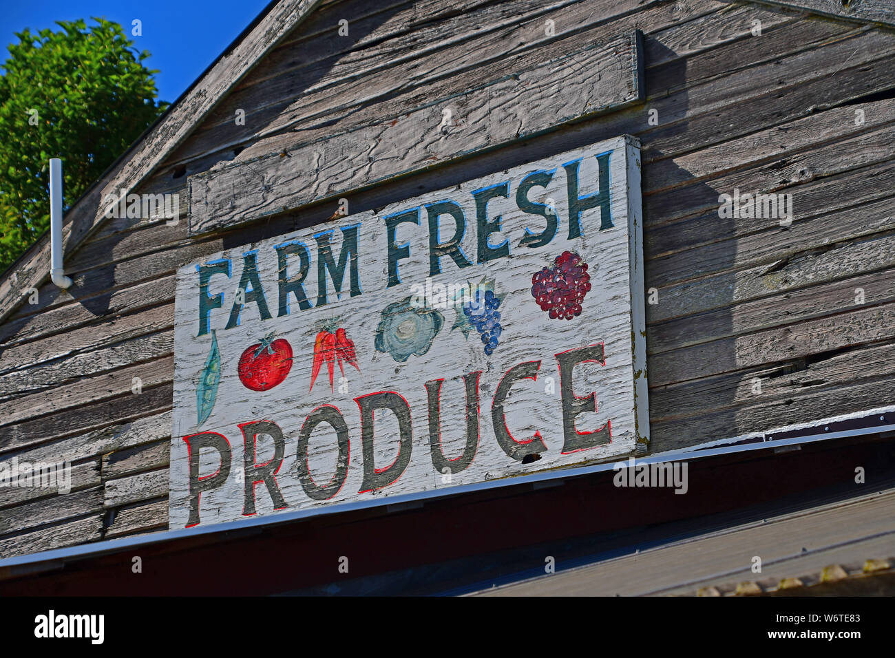 Les panneaux pour divers produits de ferme stand La Conner, Washington Banque D'Images
