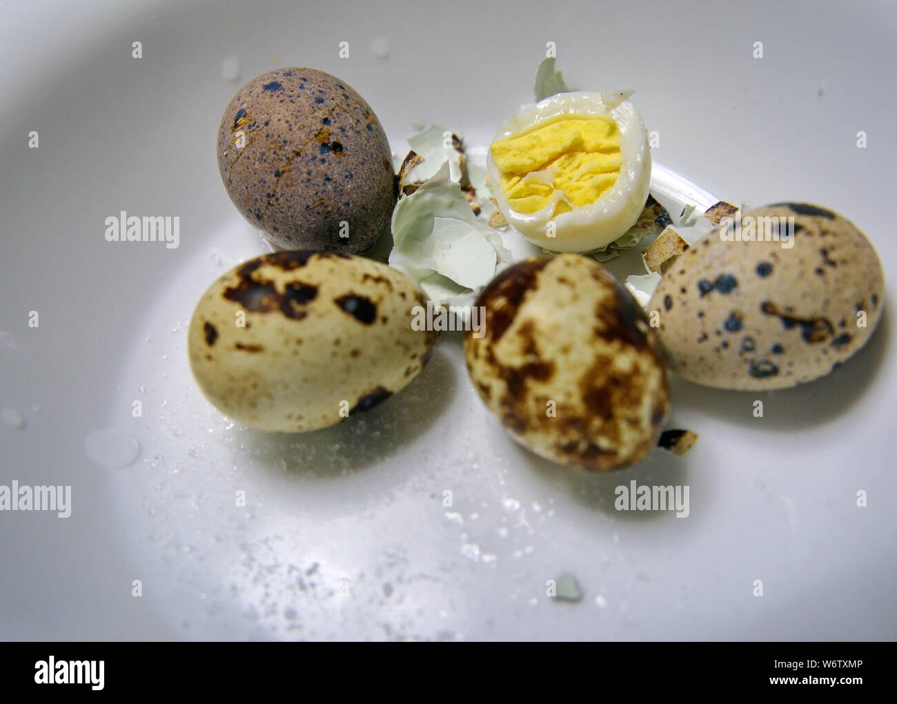 Un oeuf de caille à moitié mangé et le sel dans un bol de céréales avec d'autres sur le menu. Banque D'Images