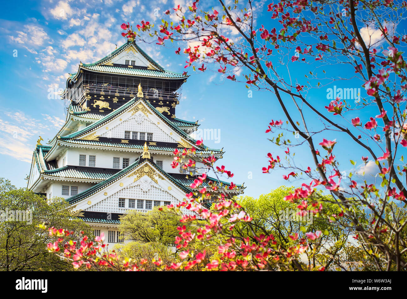L'ancien château japonais à Osaka, Japon Banque D'Images