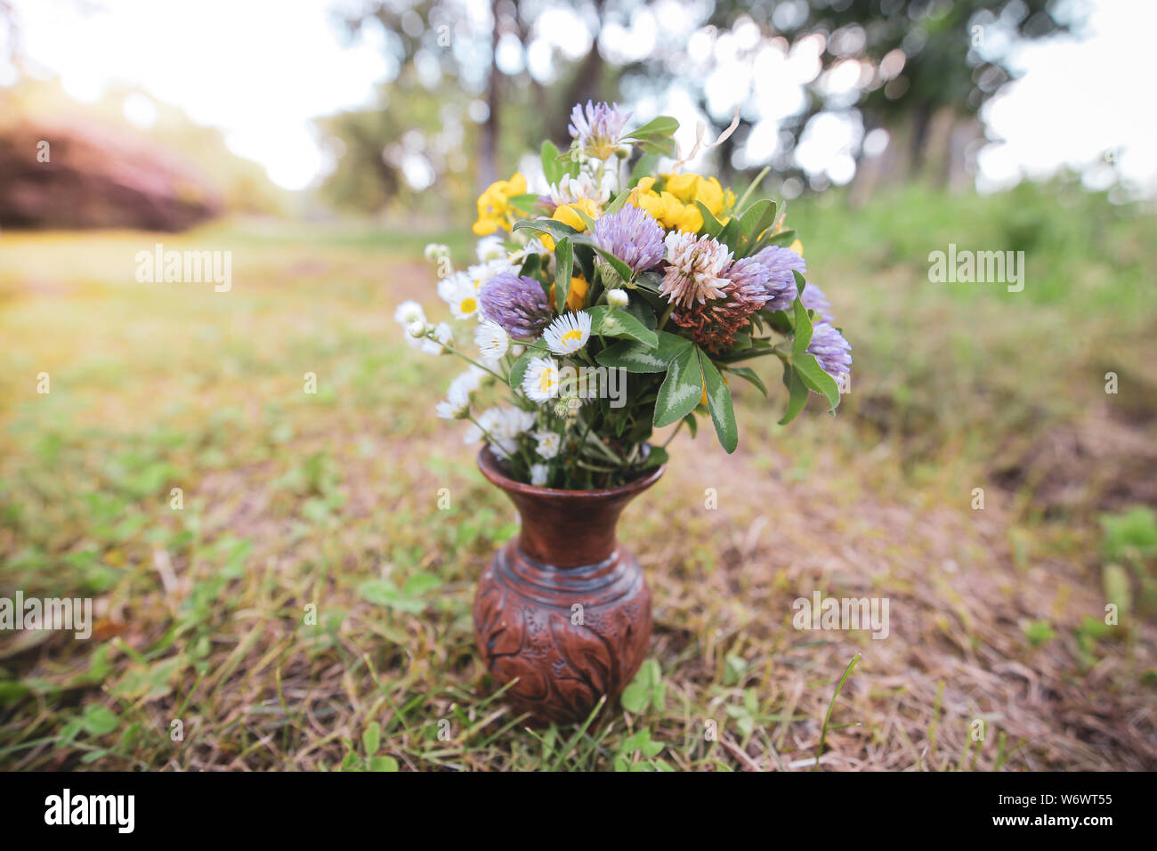 Bouquet de fleurs sauvages sauvages colorés dans un pot en argile posés sur l'herbe Banque D'Images