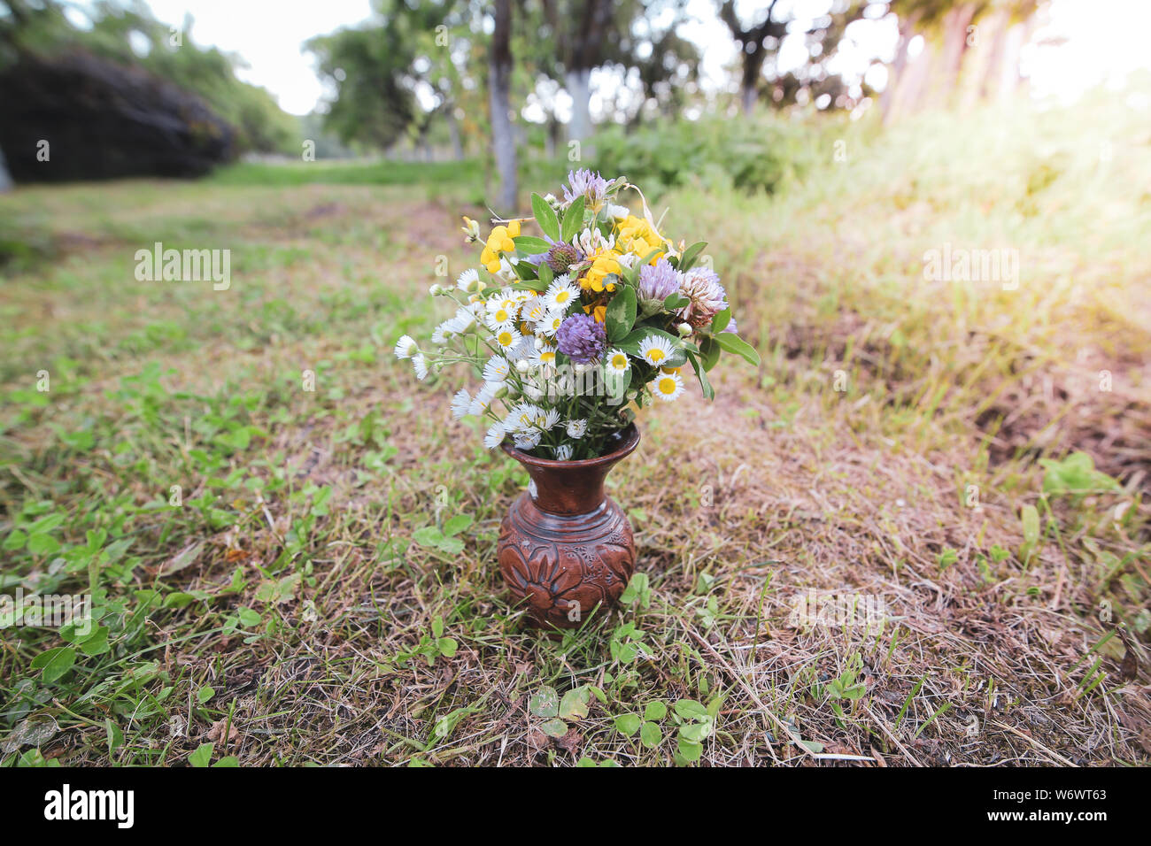 Bouquet de fleurs sauvages sauvages colorés dans un pot en argile posés sur l'herbe Banque D'Images