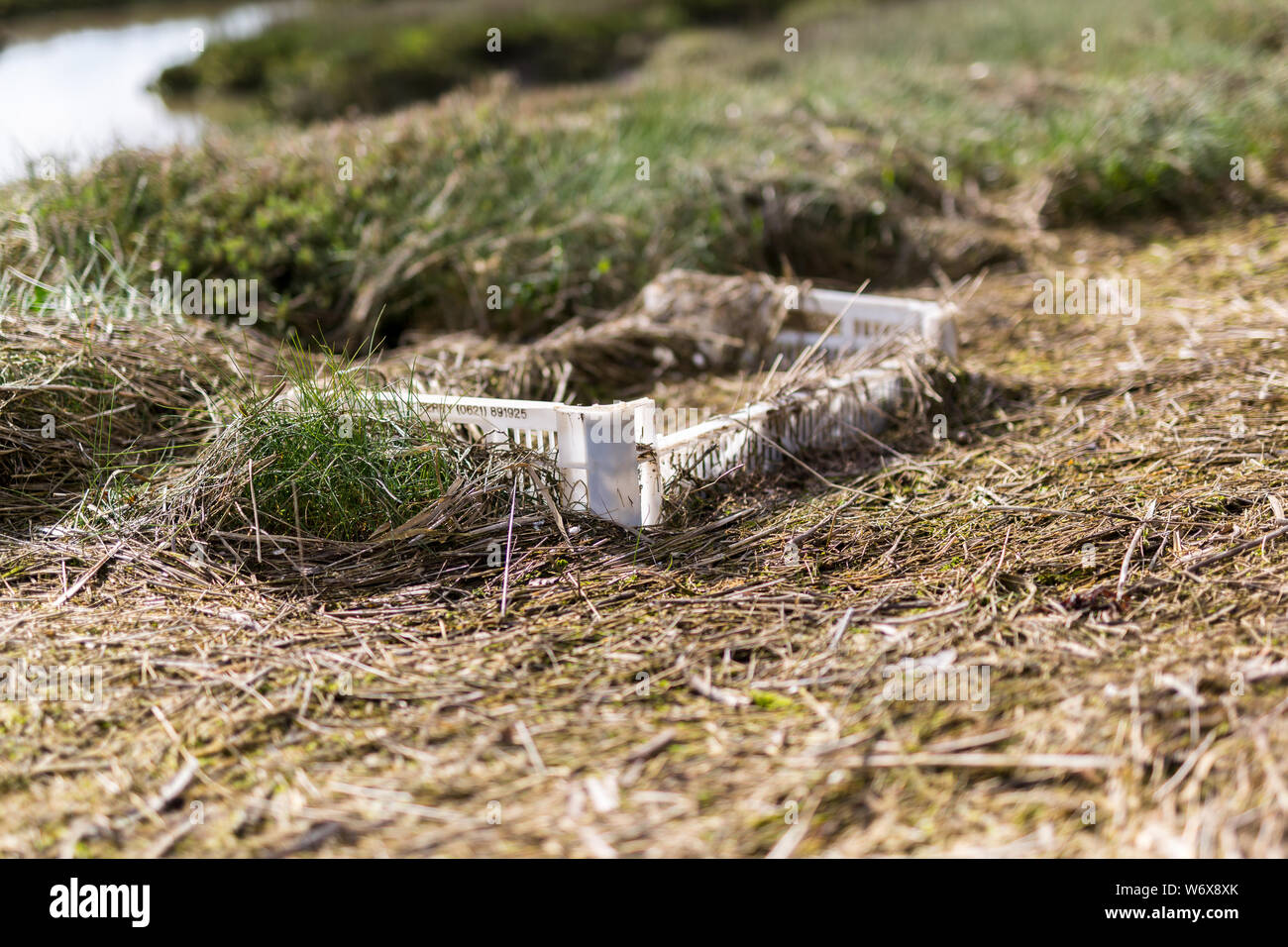 Les plastiques de détritus sur le bord d'une rivière sur le rivage et la plage, dans le Suffolk. Jetés recyclé plutôt que de causer un risque pour l'environnement Banque D'Images