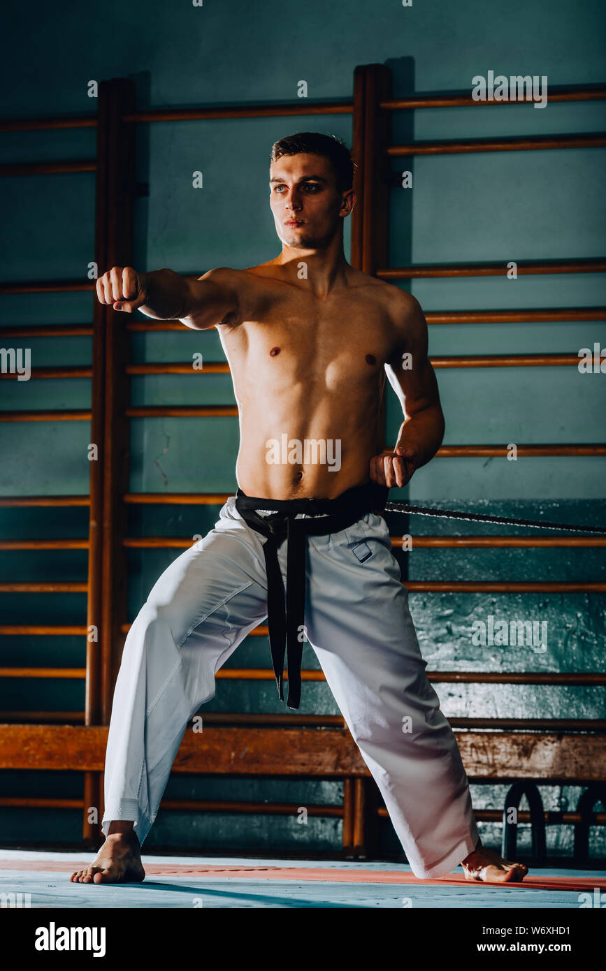 Mettre en place une forte ossature athlète, homme ou karaté kimono blanc en  chasse, poursuite, avec la ceinture noire posant en position de combat  Photo Stock - Alamy