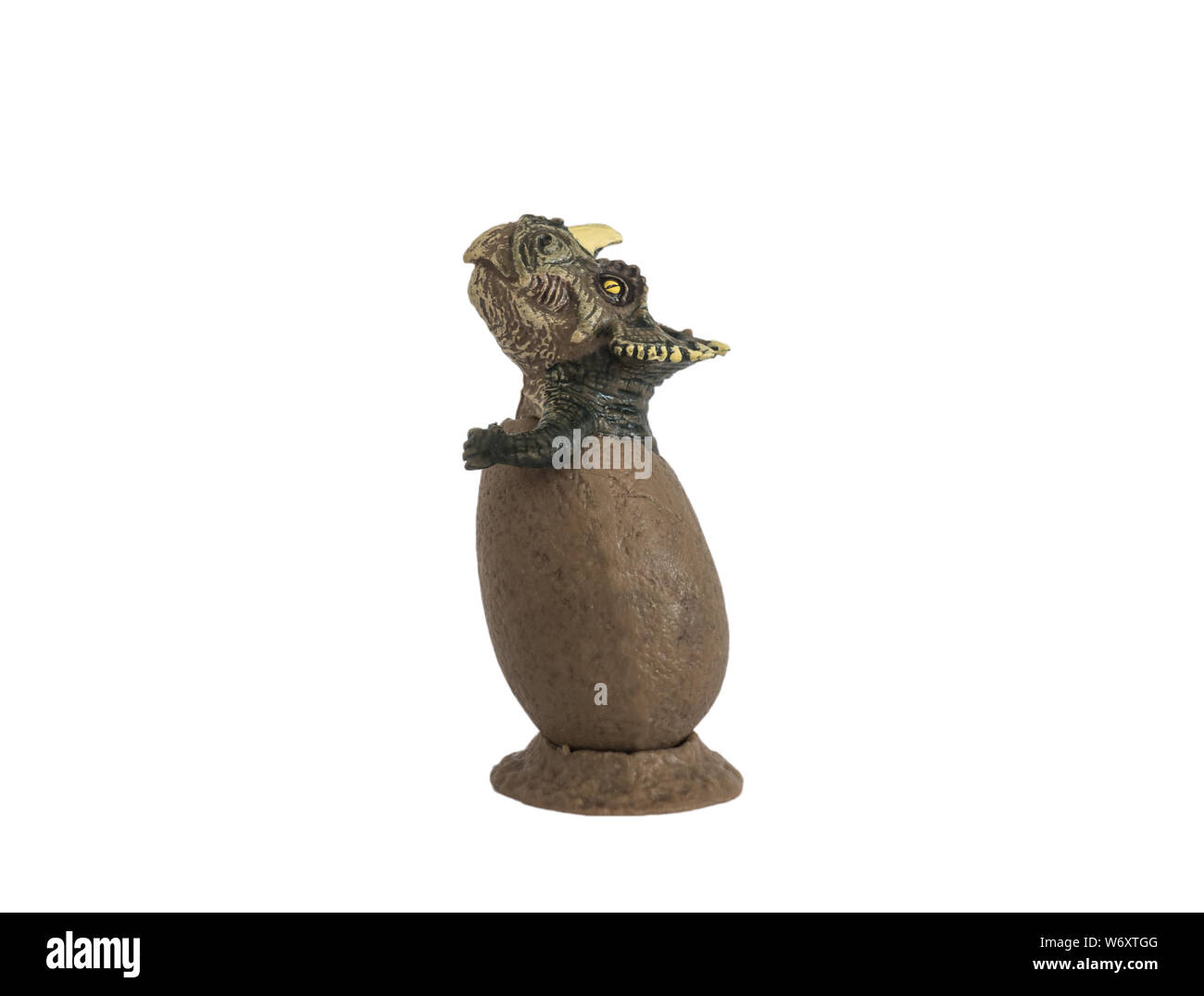 Et mignon bébé tricératops dans egg isolé sur fond blanc. Dinosaure Triceratops était un herbivore du crétacé en vécu. Banque D'Images