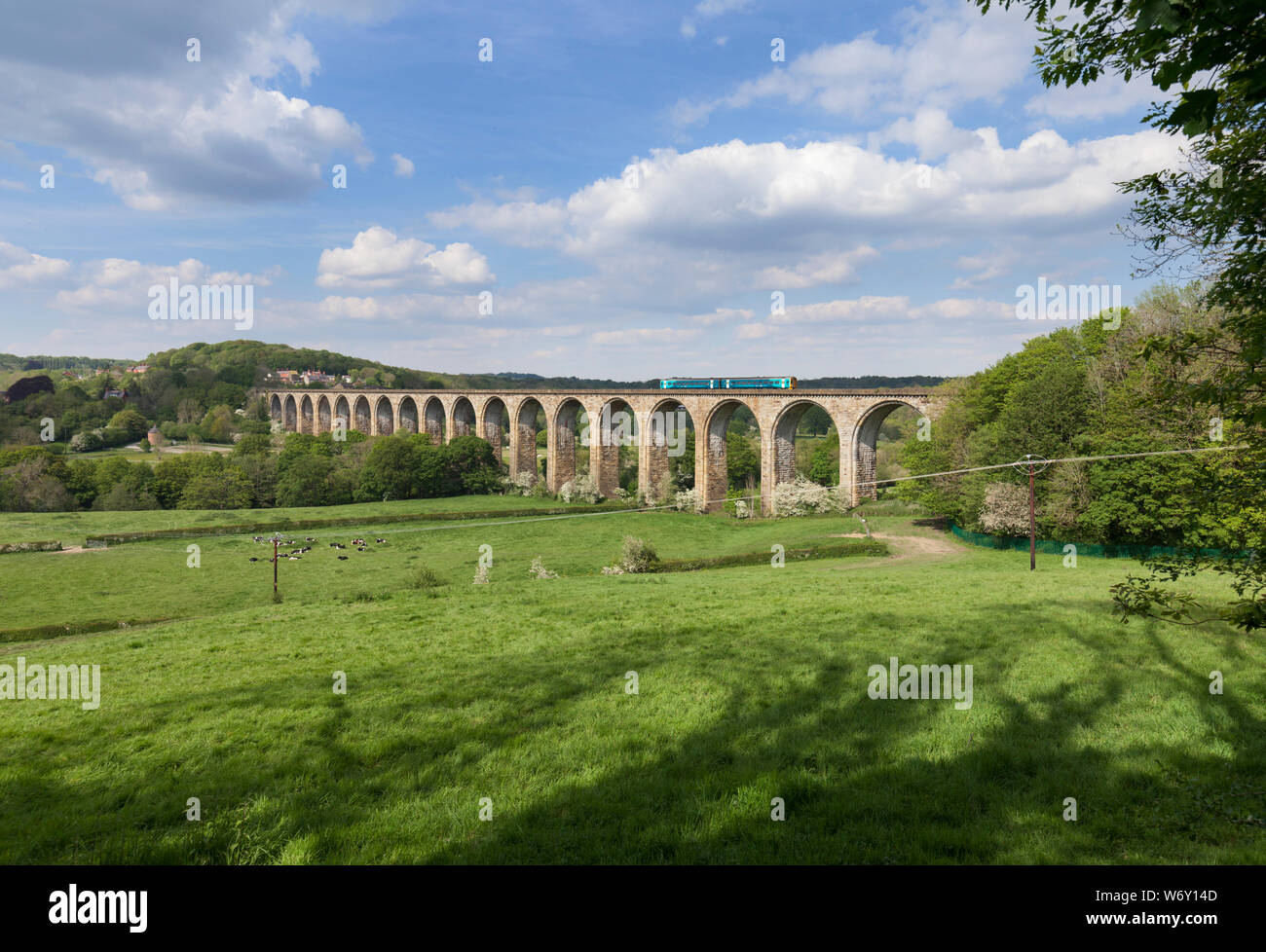 Transport pour le pays de Galles 158 sprinter de classe express train Cefn Mawr Viaduct (au nord de Joigny) avec un train international de Birmingham à Holyhead Banque D'Images