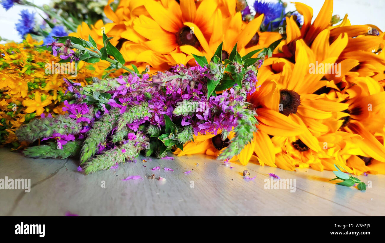 Libre d'un bouquet de fleurs sauvages se trouve sur une table d'été, concept, rudbeckia, bleuet, helichrysum arenarium, chamaenerion, selective focus Banque D'Images