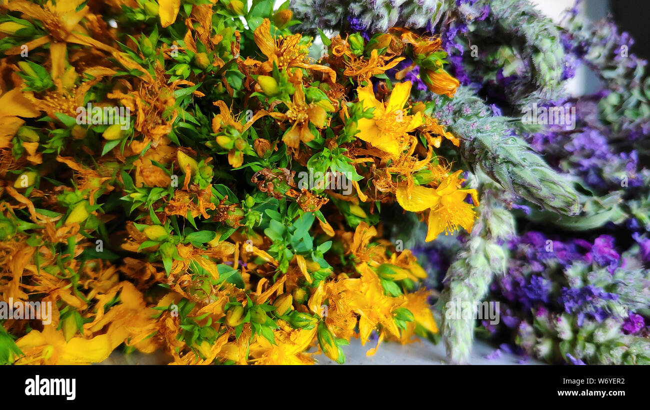 Libre d'un bouquet de fleurs sauvages se trouve sur une table, l'été, concept chamaenerion, helichrysum arenarium, selective focus Banque D'Images
