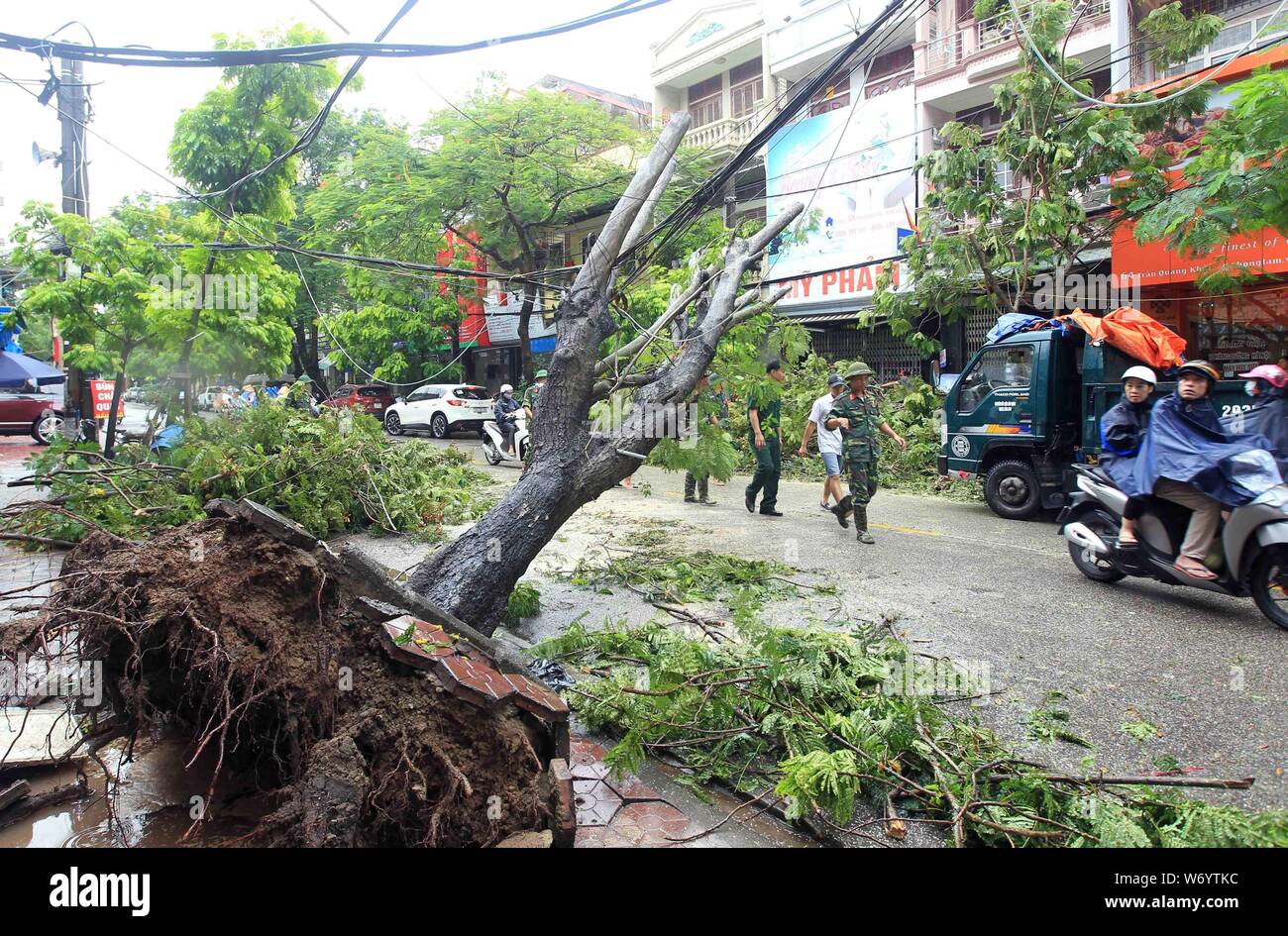 Hanoi, Vietnam. 3e août 2019. Un arbre est déraciné à cause des fortes pluies et des tourbillons provoqués par le typhon Wipha à Hai Phong, Vietnam, le 3 août 2019. Le typhon Wipha, la troisième tempête tropicale de grève Vietnam jusqu'à présent cette année, a fait un mort et 15 autres disparus, Vietnam News Agency rapporte, samedi. Source : Xinhua/VNA/Alamy Live News Banque D'Images