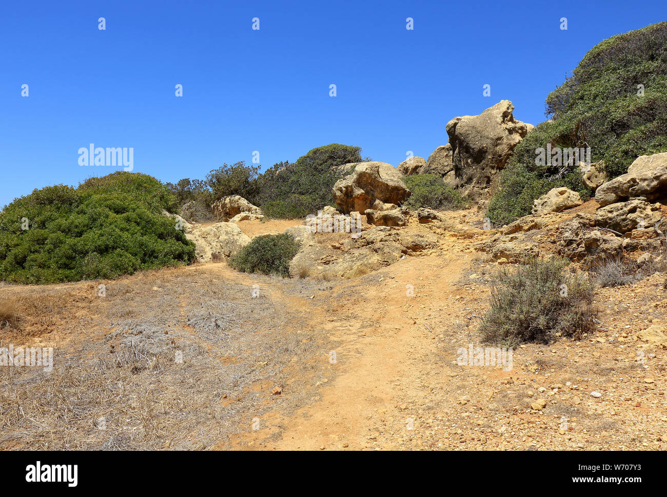 Des pistes de terre à travers le Caminho de Baleeira Nature Reserve Banque D'Images