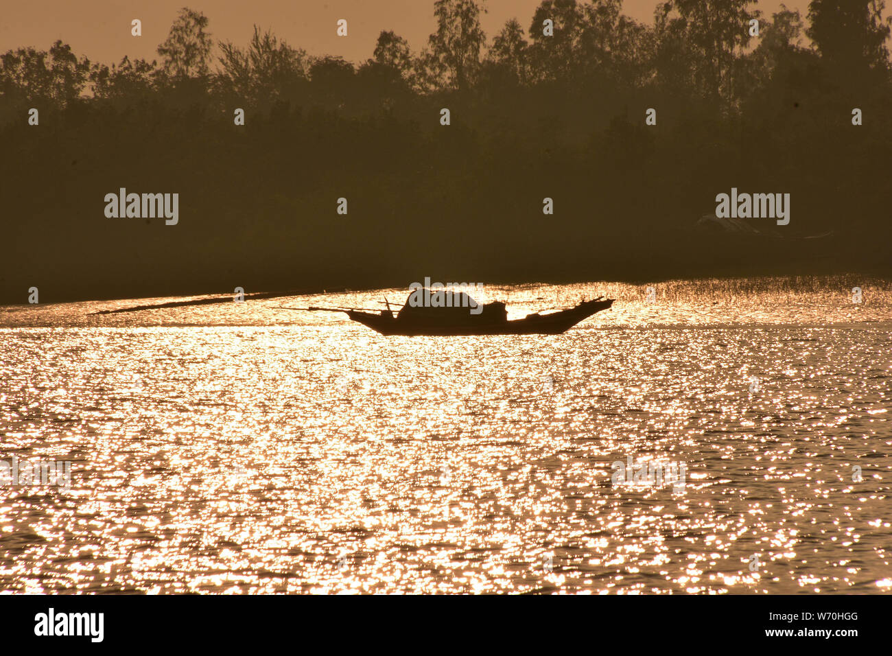 Parc national de Sundarbans, Bengale-Ouest, Inde Banque D'Images