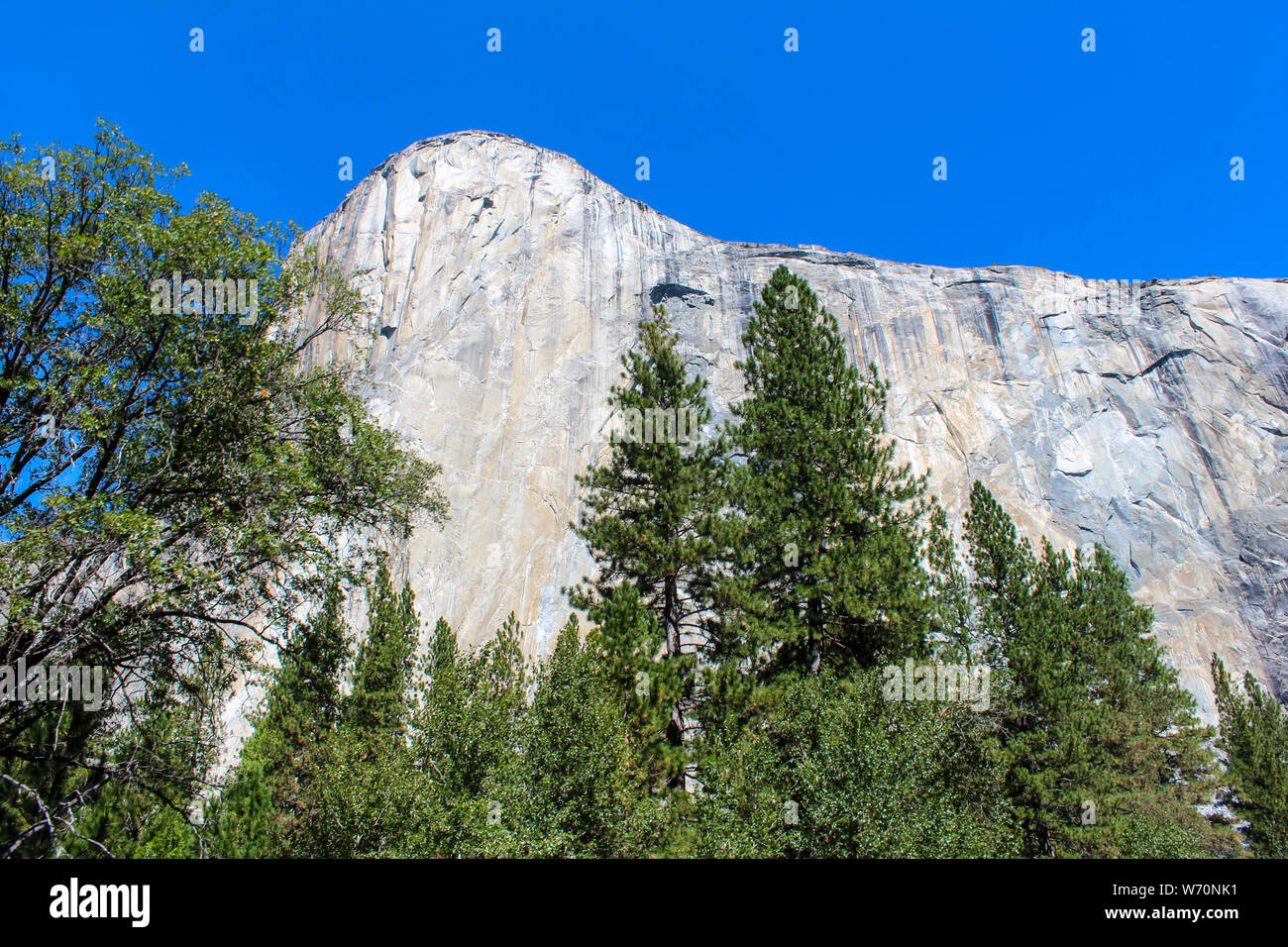 El Capitan, vertical rock formation in Yosemite National Park, California, USA Banque D'Images