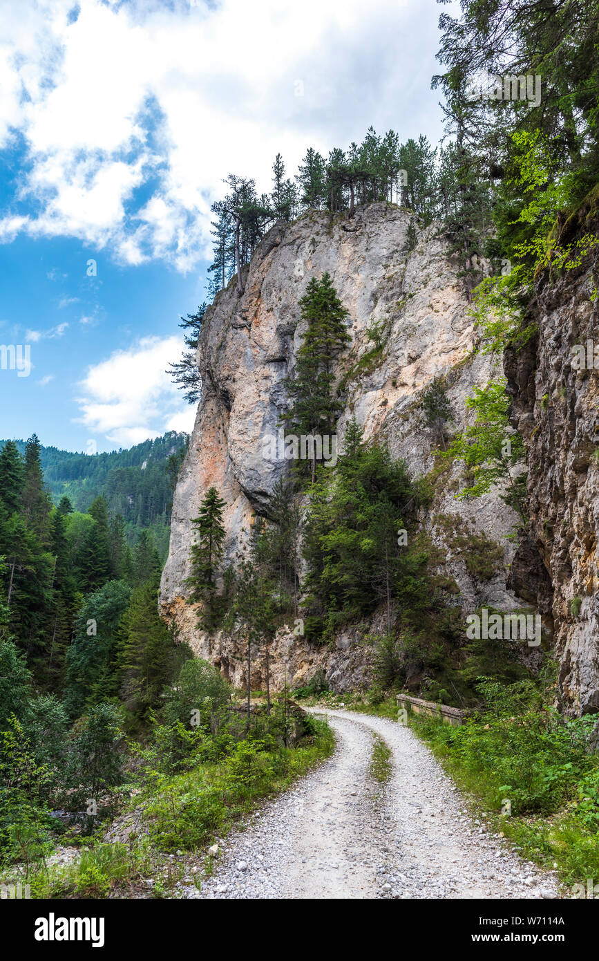 Paysage avec un chemin de terre dans le col de montagne de pins et de hautes roches Banque D'Images