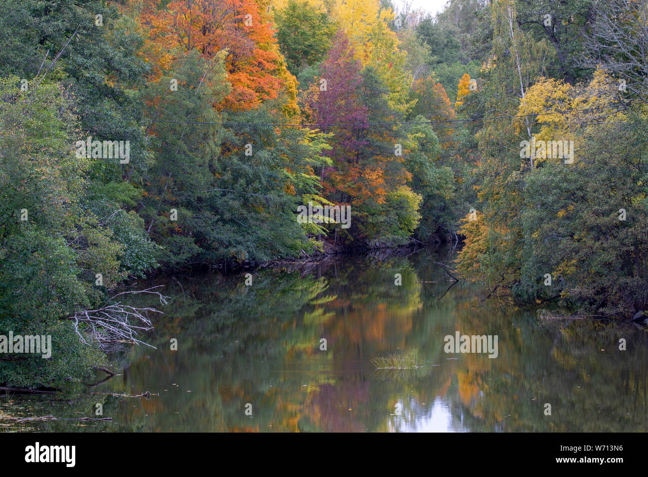 Belle journée d'automne aux couleurs de l'automne sur une rivière suédois Banque D'Images