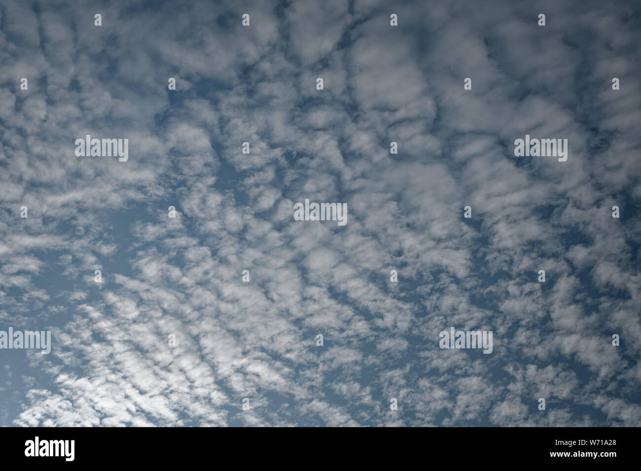 Les nuages altocumulus undulatus (maquereau) dans le ciel bleu ; le format paysage. Banque D'Images