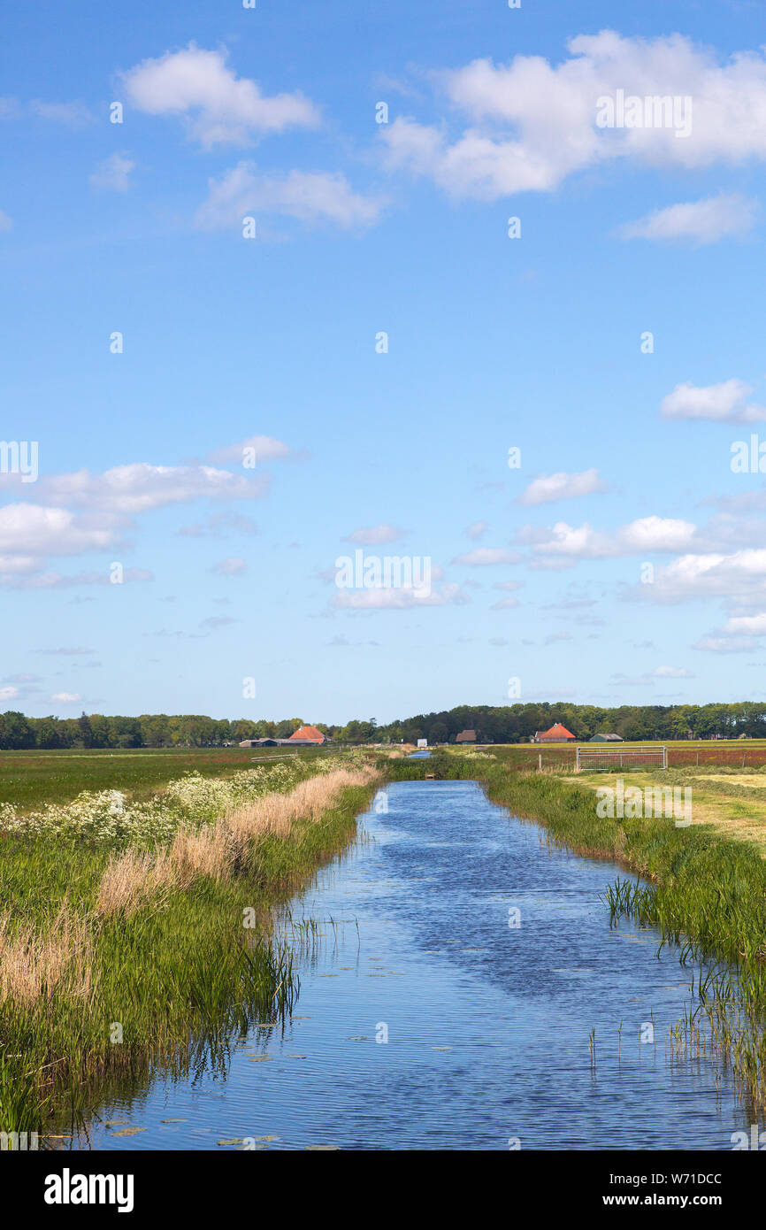 Paysage rural typique du sud-ouest de la province néerlandaise de la Frise Banque D'Images