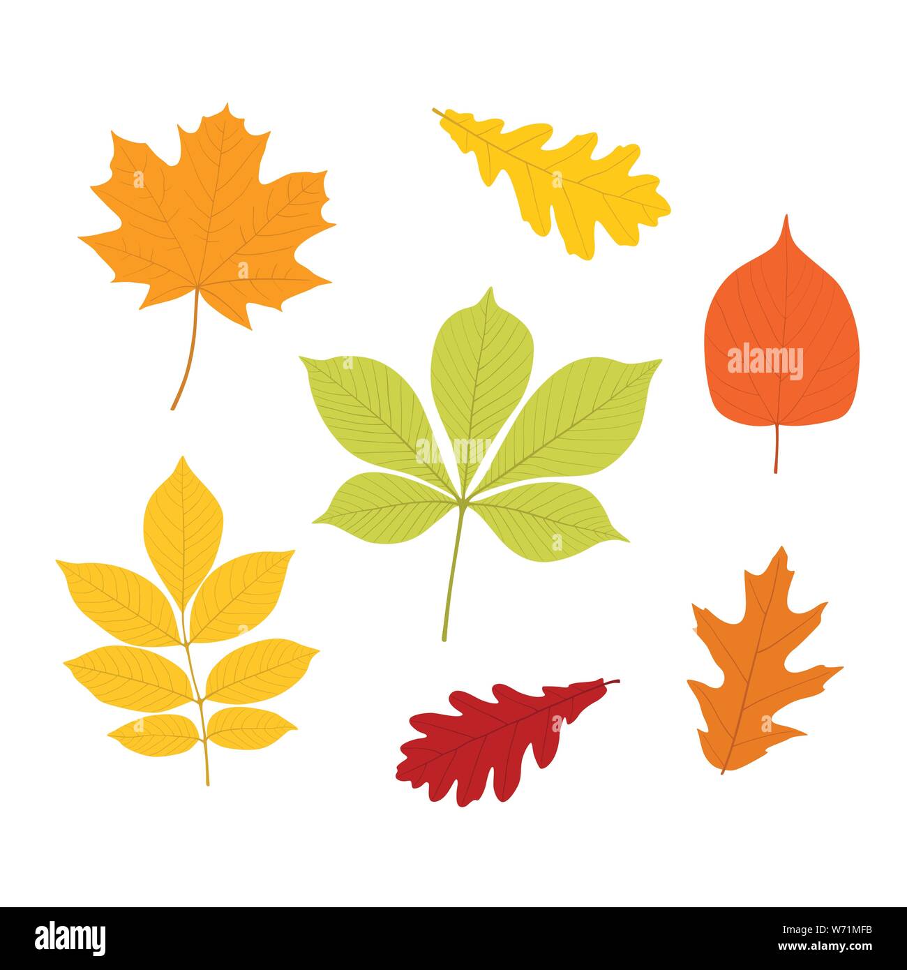 Feuilles d'automne, isolé sur fond blanc. simple caricature style plat Illustration de Vecteur