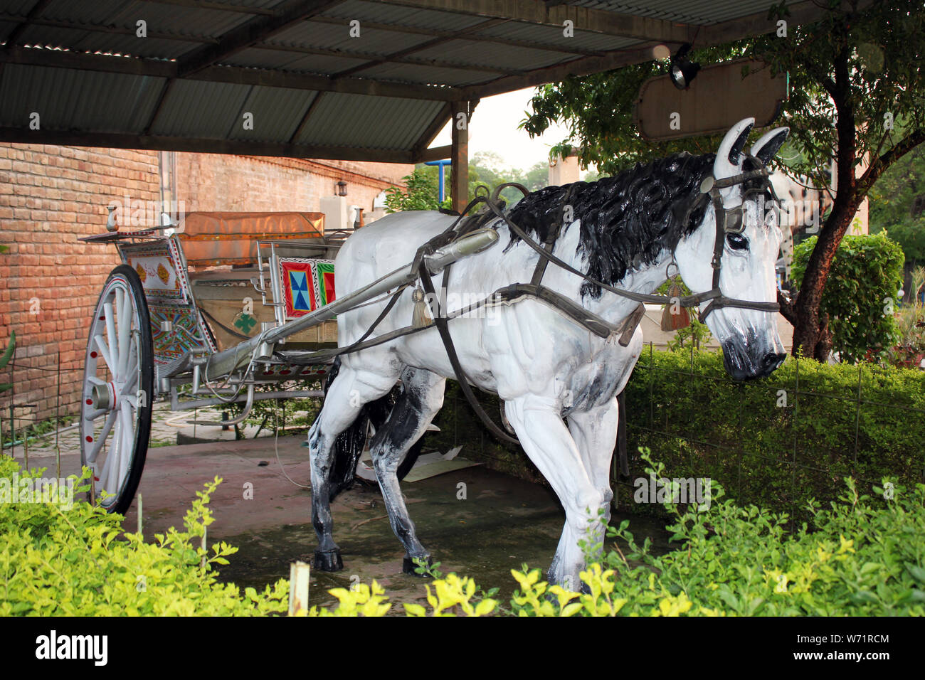 Panier cheval baggi tonga Pakistan connivence culturelle Banque D'Images