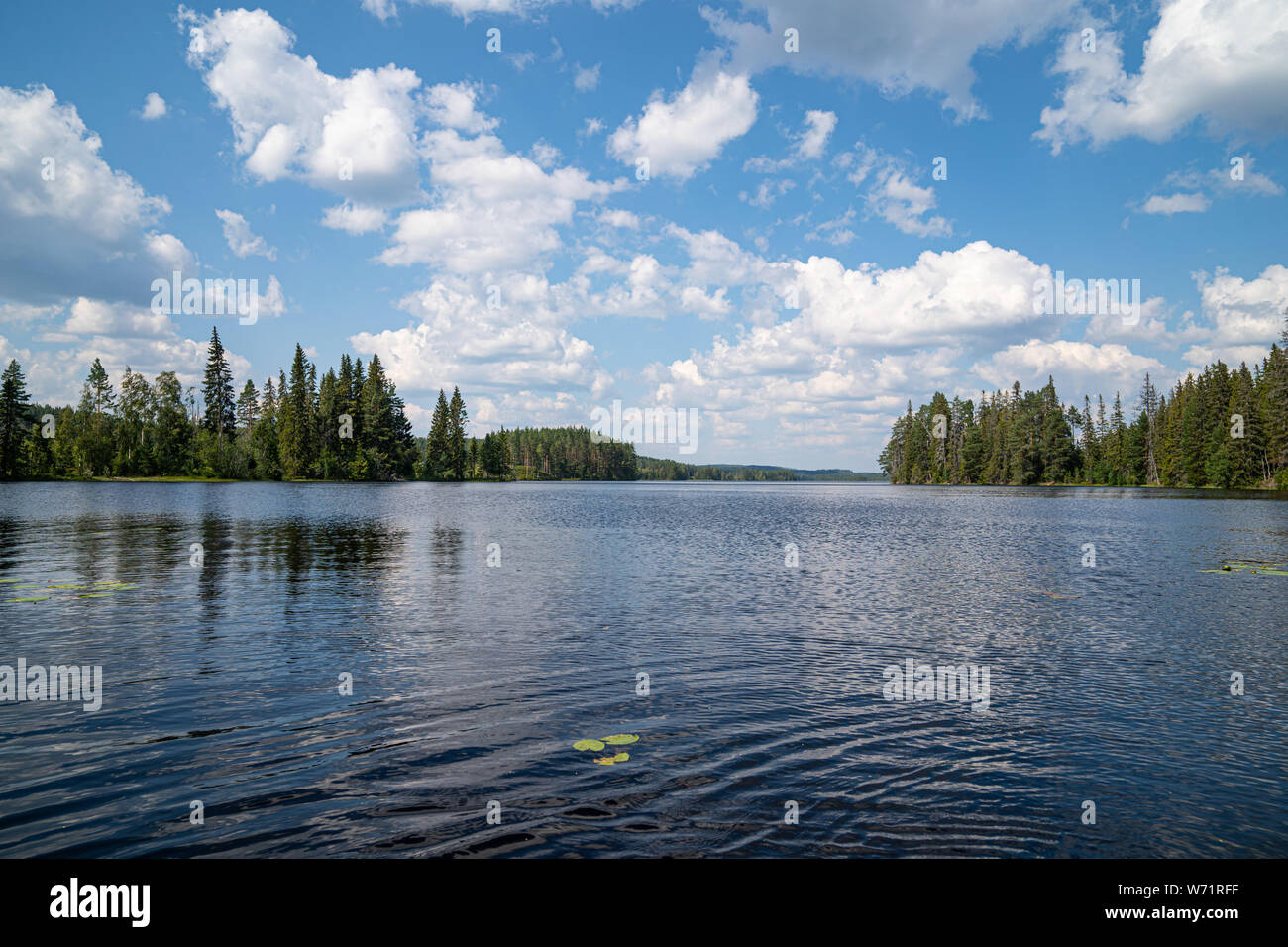 Les nuages blancs dans un ciel bleu sur une journée ensoleillée, Black River (Svartälven) dans le désert, la Suède Banque D'Images