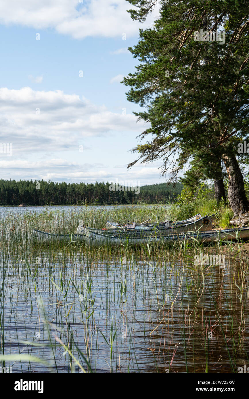 Mögreven Storön, île du lac de Värmland, Suède Banque D'Images