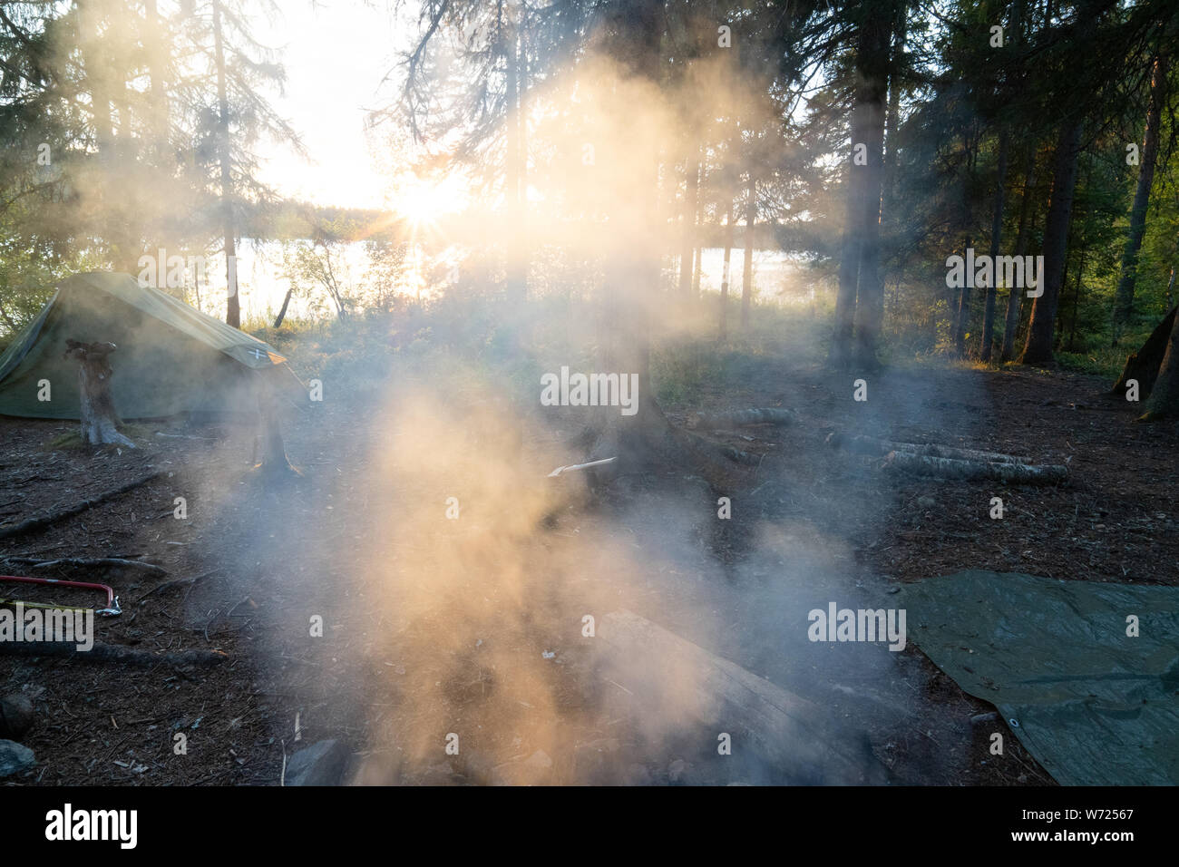 Un feu de camp dans une forêt Banque D'Images