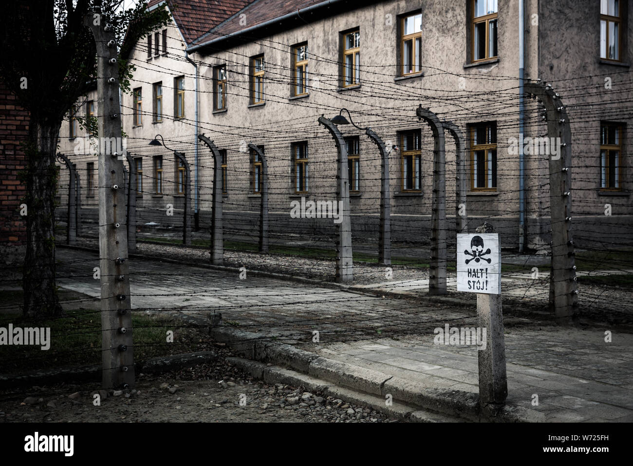 Barrack et barbelés, prison Auschwitz II Banque D'Images