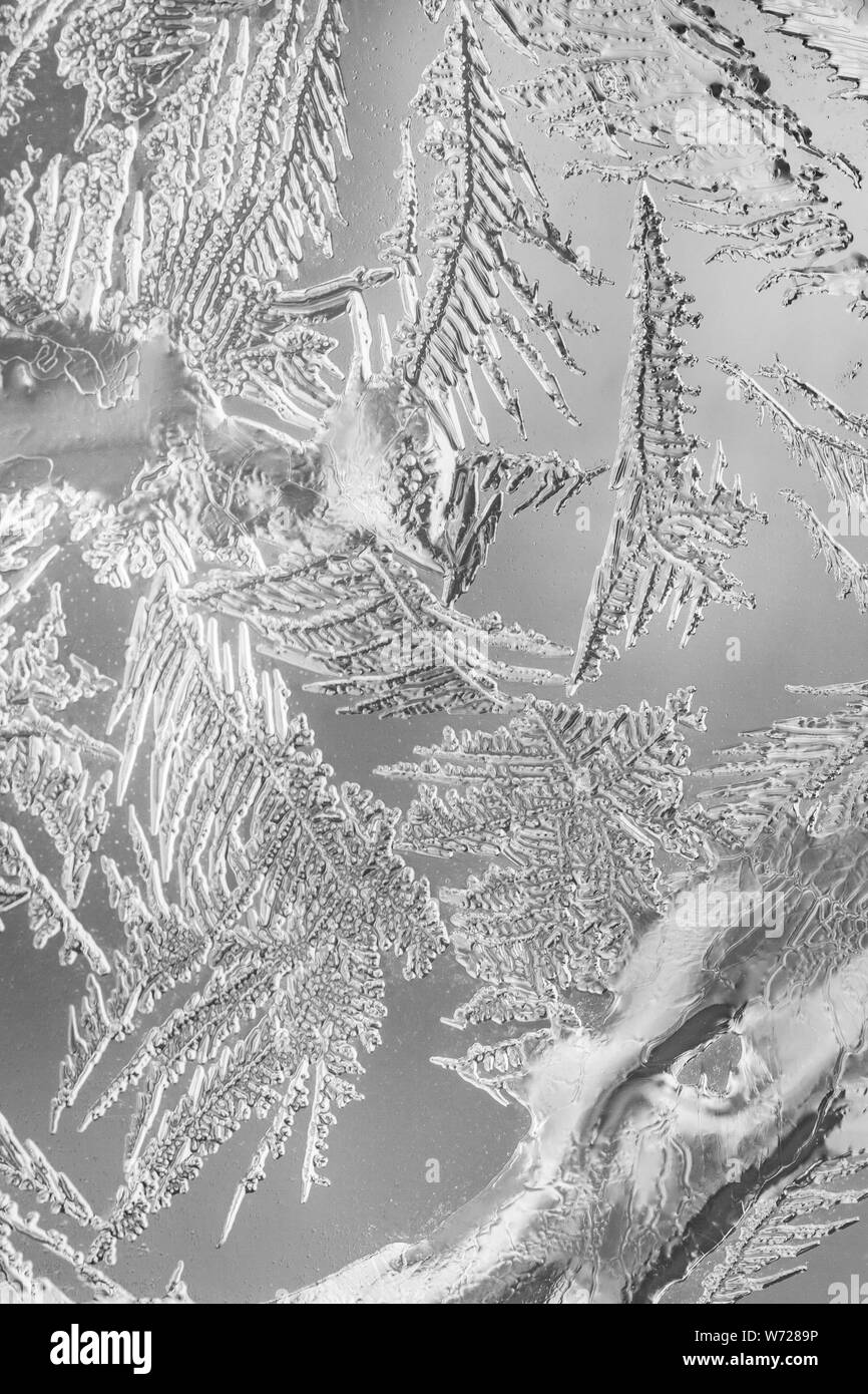 Frosty modèle à une vitre de fenêtre d'hiver. Banque D'Images Frosty modèle à une vitre de fenêtre d'hiver. Banque D'Images