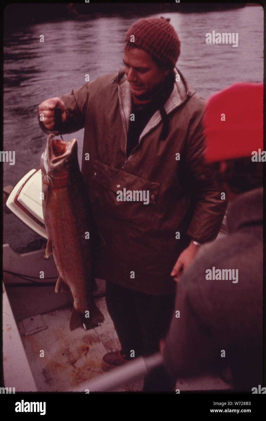 Affiche bon pêcheur-TRUITES CAPTURÉES SUR LA RIVIÈRE SKAGIT PRÈS DE BÉTON. La PÊCHE SPORTIVE DE LA SKAGIT FOURNIT TOUT AU LONG DE L'année, AVEC LE MEILLEUR DE LA PÊCHE DANS LES MOIS D'HIVER. Chaque année, quelque 250 000 WASHINGTON pêcheurs recherchent ces truites anadromes, QUI PASSENT UNE PARTIE DE LEUR DURÉE DE VIE DANS L'EAU SALÉE, DE RETOURNER À LA RIVIÈRE POUR FRAYER Banque D'Images