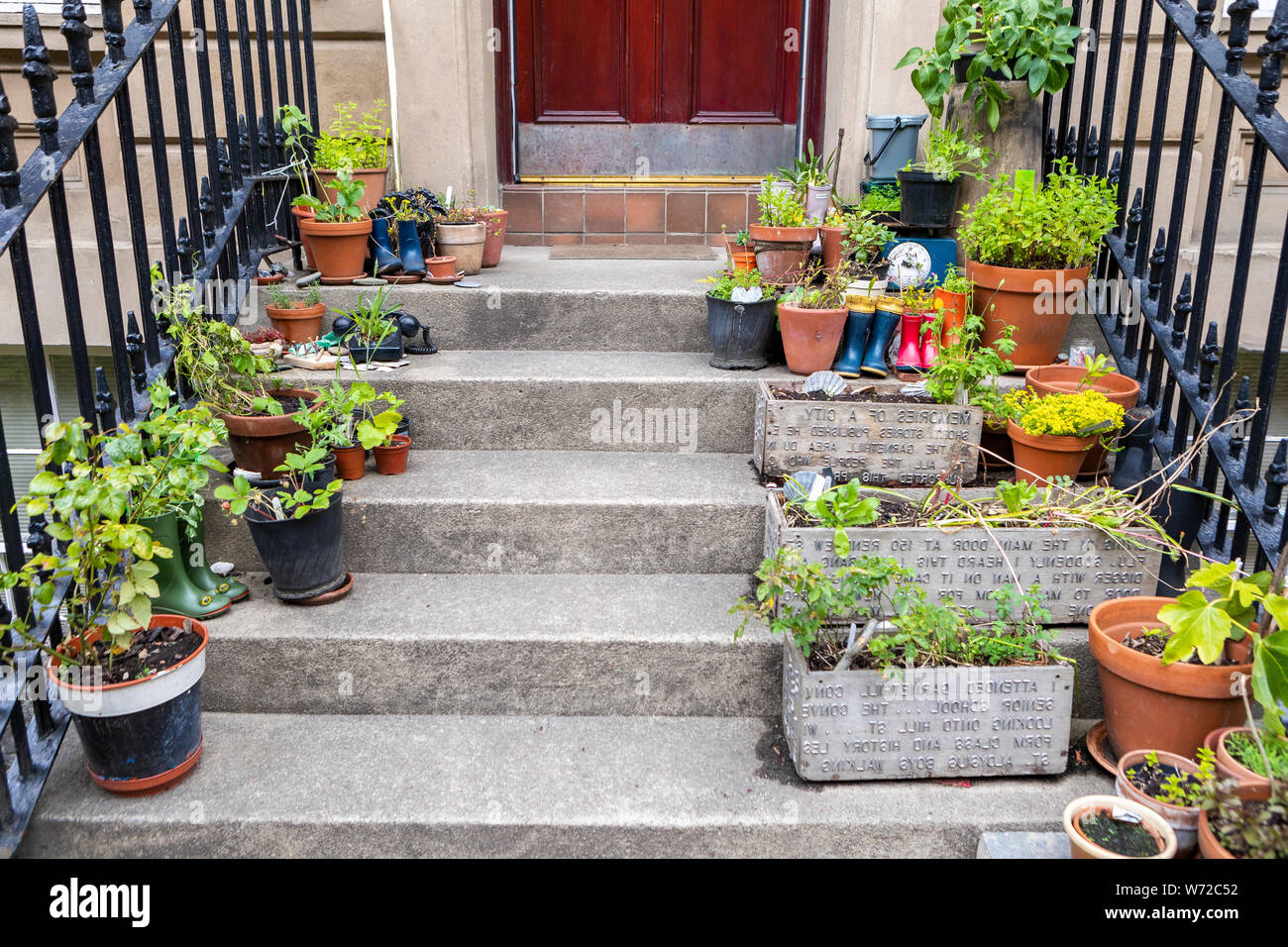 Pots de fleurs sur un escalier en Angleterre Banque D'Images