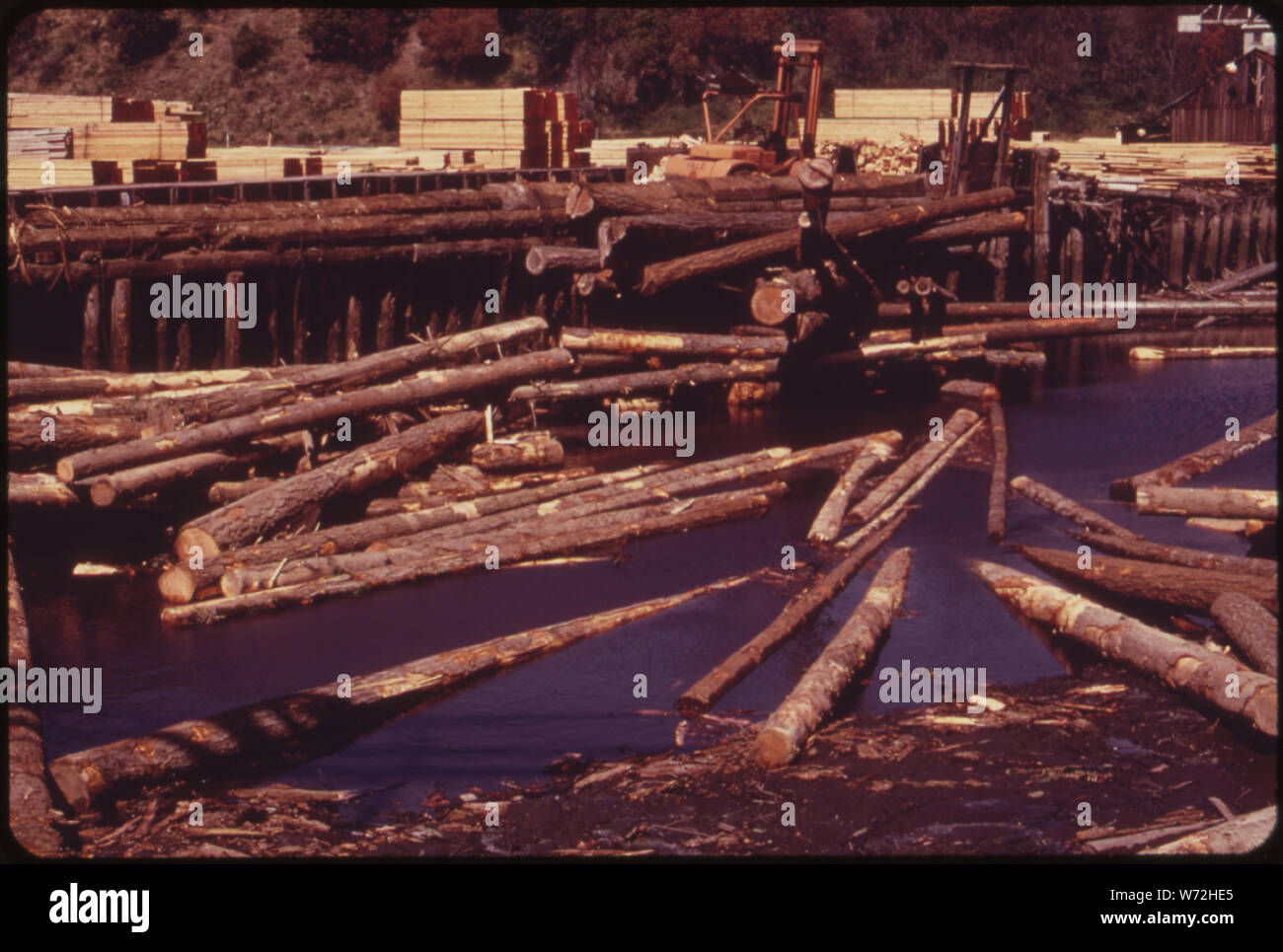 Sciage COUCHÉ DANS LA BOUE À CHAMBERS CREEK À marée basse. Ce type de stockage en CAUSER LA DÉTÉRIORATION DE LA QUALITÉ DE L'EAU Banque D'Images