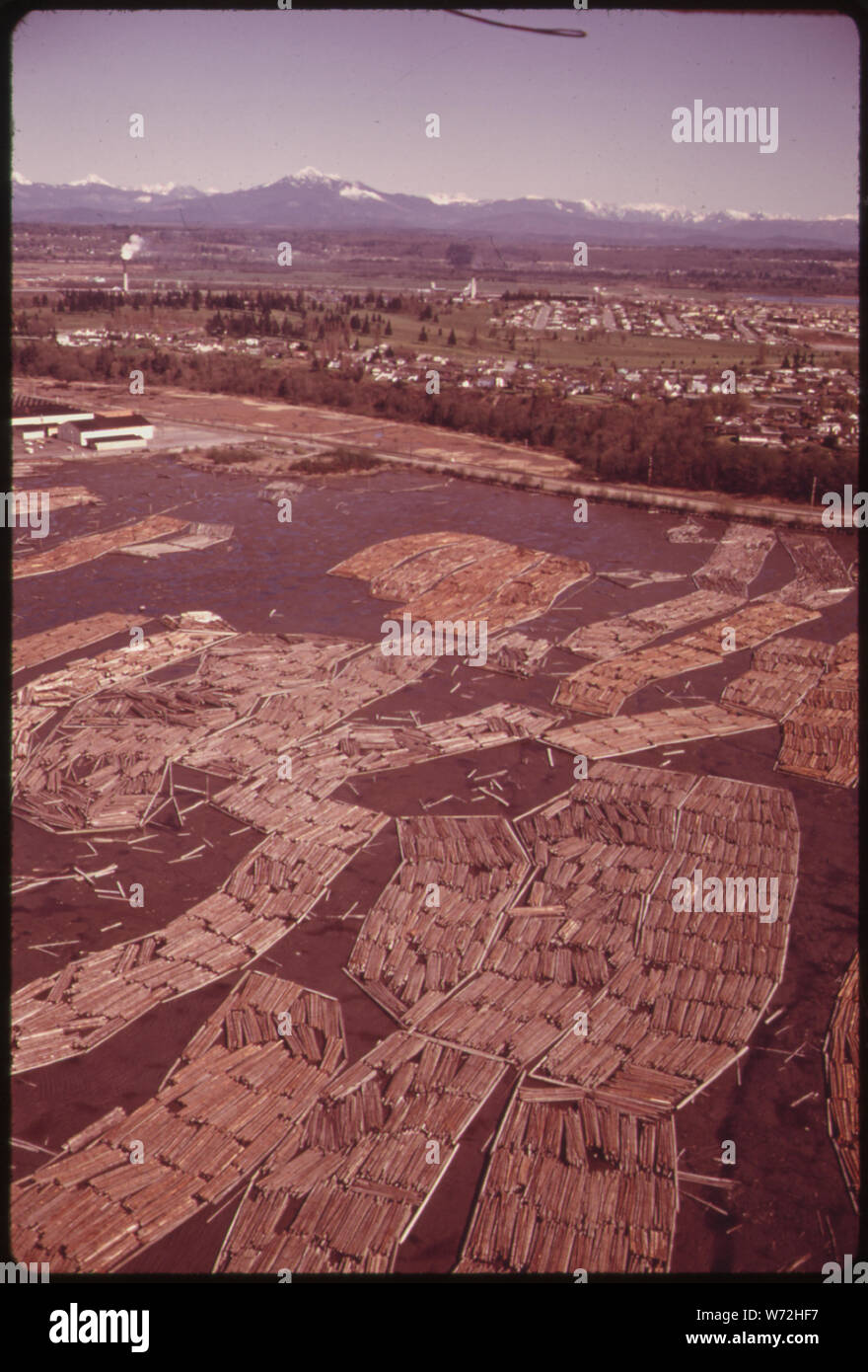 Connectez-vous sur des radeaux à marée basse rivière SNOHOMISH Banque D'Images