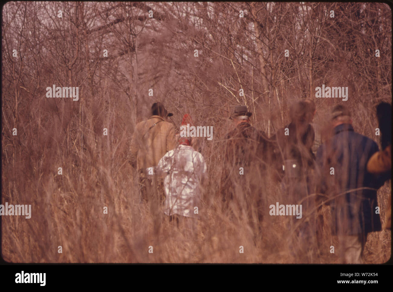 Les membres de la National Audubon Society, PROMENADE À TRAVERS LE PINCEAU À LA LILLIAN ANNETTE ROWE REFUGE D'OISEAUX À GRAND ISLAND NEBRASKA. Ils ont l'INTENTION DE VOIR CERTAINS DES 250 000 Grues du Canada MOINDRE QUE S'ARRÊTER ICI SUR LEUR ROUTE MIGRATOIRE EN PROVENANCE DU GOLFE DU MEXIQUE, SUR LE CHEMIN DU TERRITOIRE DU YUKON ET de la Sibérie. Les OISEAUX SONT ATTIRÉS PAR LA RIVIÈRE PLATTE QUI A UN HABITAT MARÉCAGEUX ET PEU PROFONDES. La région est menacée par un éventuel PROJET DE DRAGAGE ET LE BARRAGE DE LA RIVIÈRE Banque D'Images