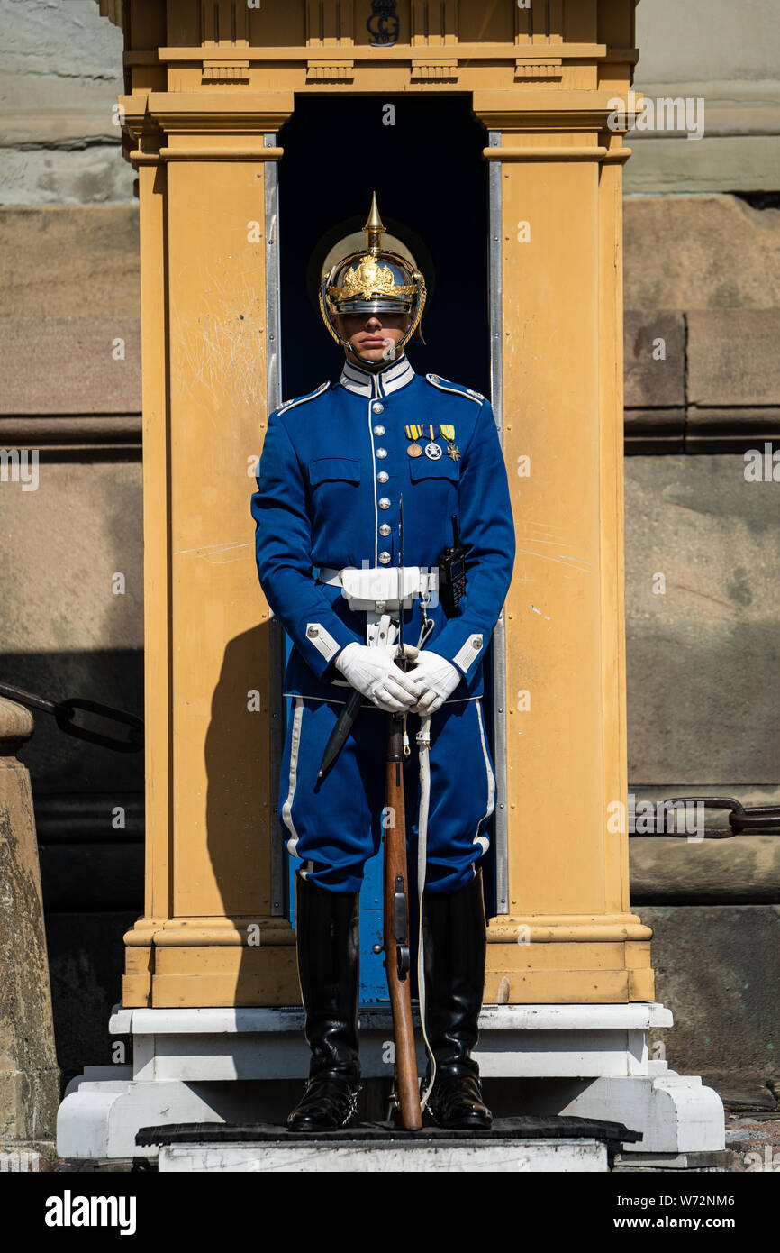 La Garde royale (Högvakten), Roi de Suède et de l'infanterie, la cavalerie de la garde d'honneur de l'Armée suédoise Banque D'Images