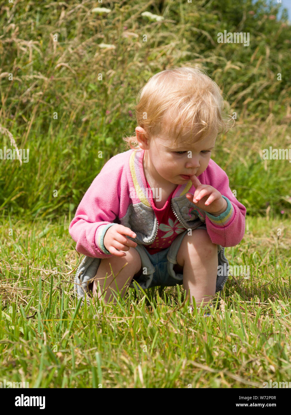 L'observation des tout-petits sauterelle dans l'herbe, UK Banque D'Images