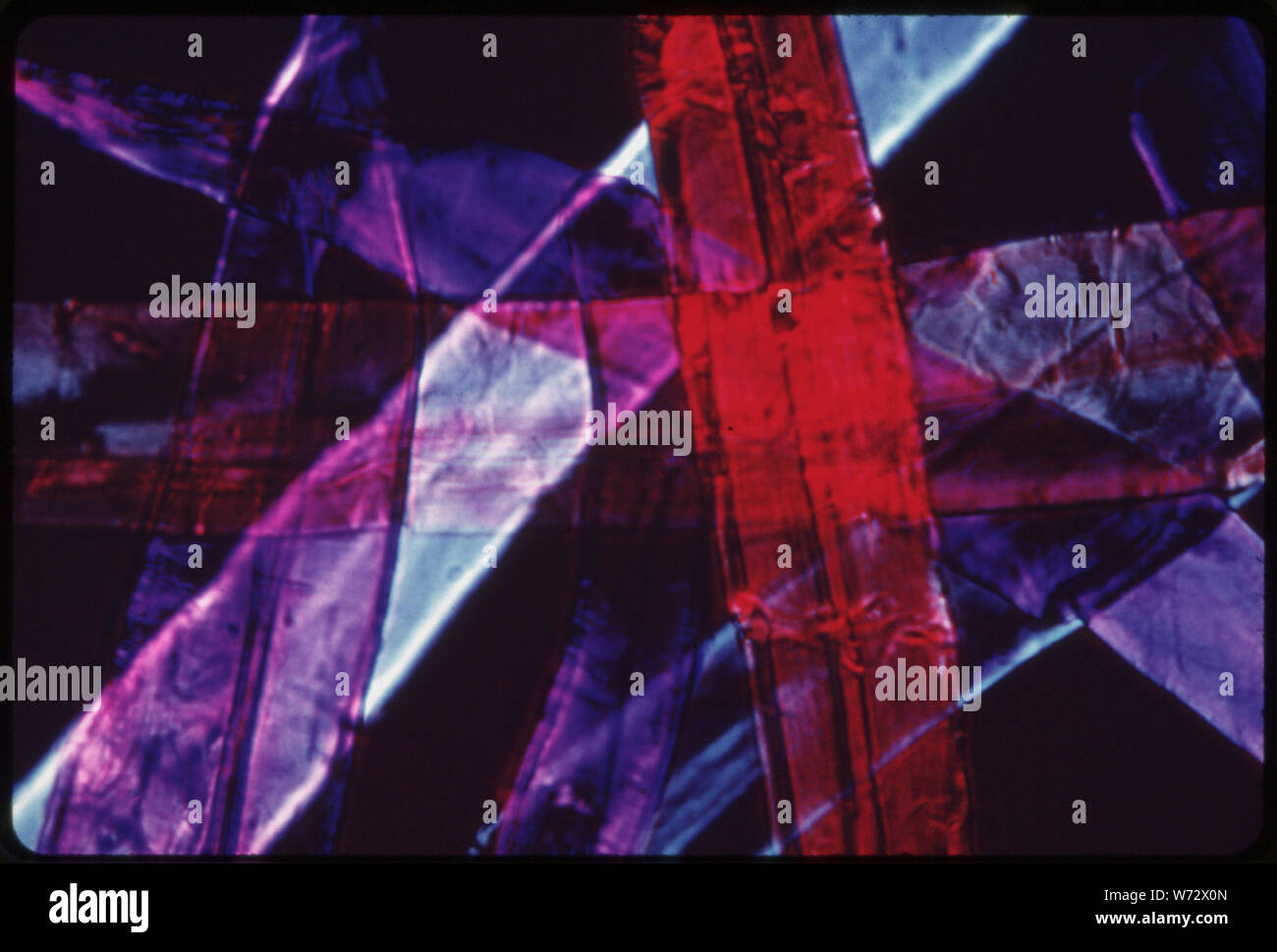 Le contraste de phase MICROPHOTOGRAPH DE DOUGLAS VITRAIL FIBRES. Prises à l'aide d'UN MICROSCOPE À NEW WESTMINSTER, en Colombie-Britannique, près de Bellingham, Washington Banque D'Images