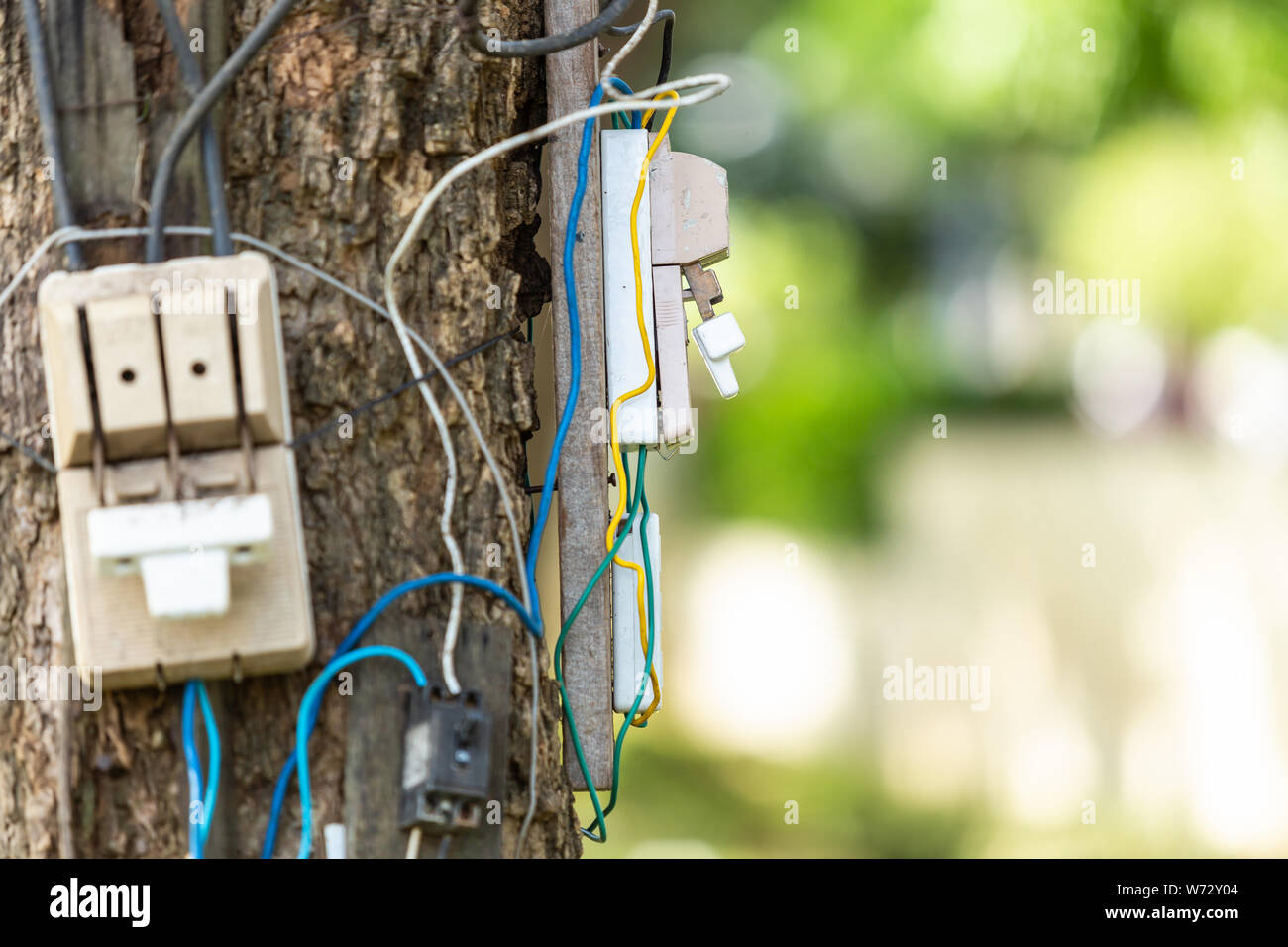 Câble électrique dangereux et l'équipement mis en place sur l'arbre dans le parc Banque D'Images