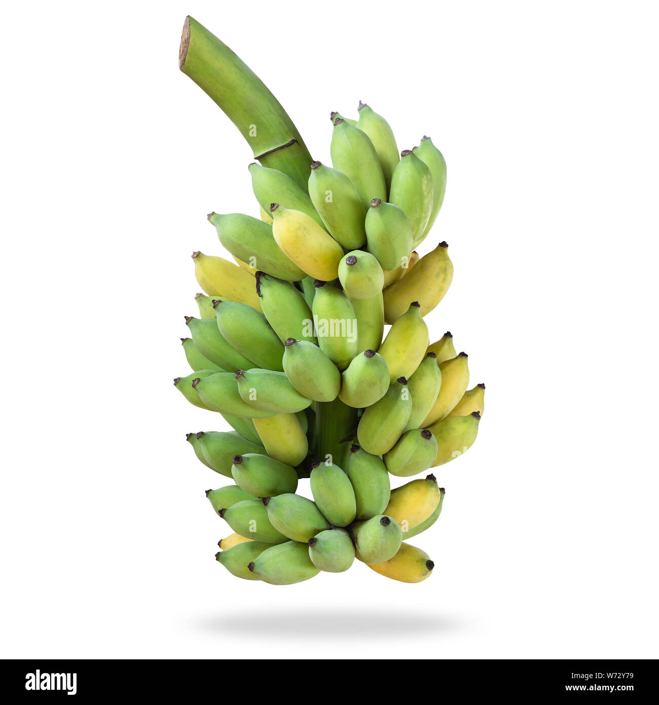 La banane cultivée thaïlandais frais isolé sur fond blanc. Enregistré avec clipping path Banque D'Images