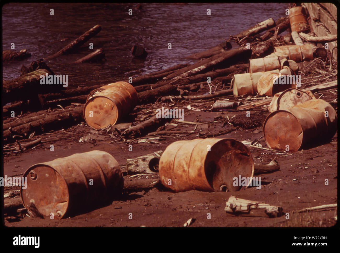 Fûts de 55 gallons, qui avaient été jetés dans la rivière Snohomish, se trouvent exposés à marée basse dans la zone intertidale de la rivière à Everett, État de Washington. Banque D'Images