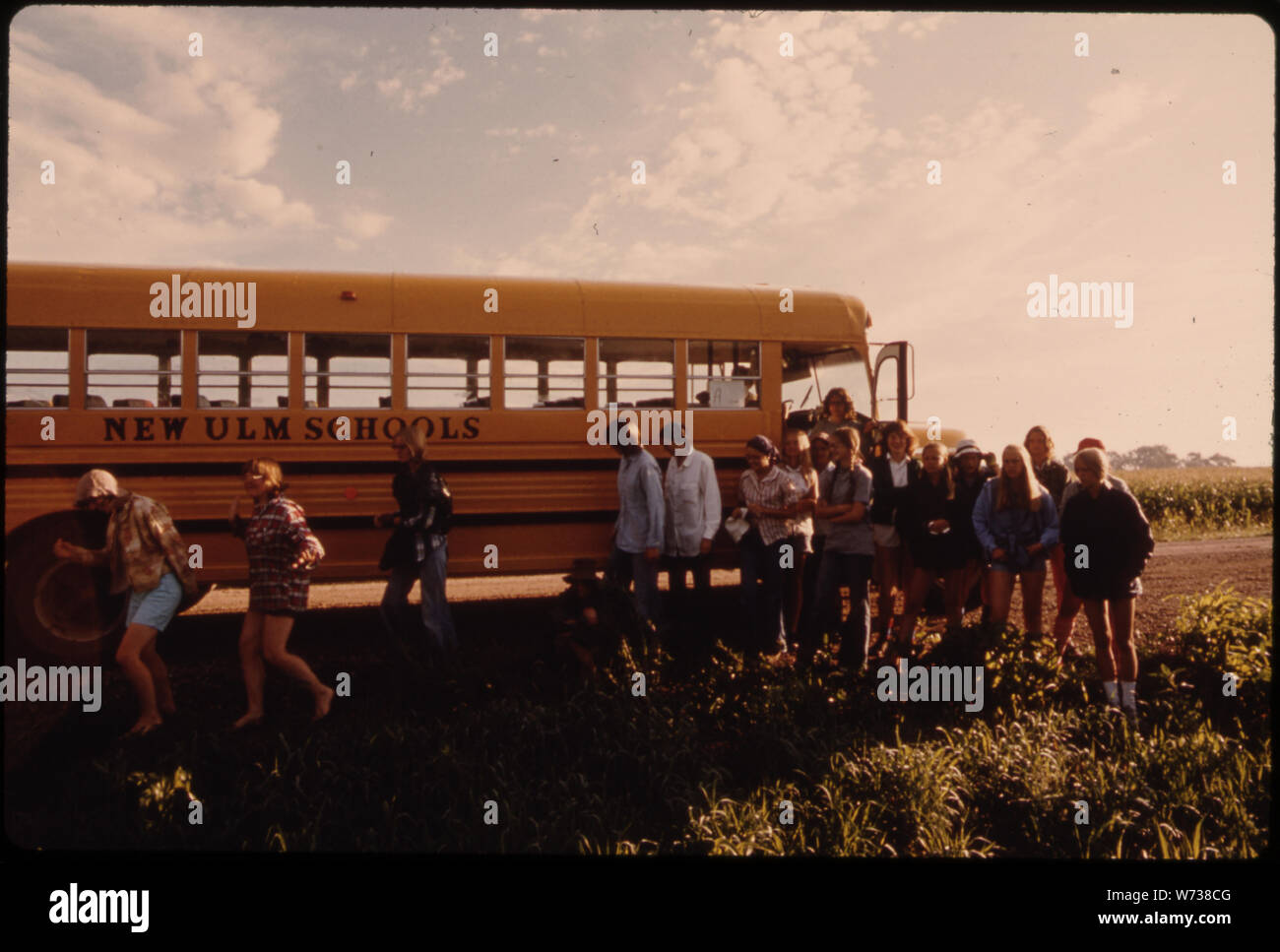 Les adolescents QUI QUITTENT LEUR TRANSPORT SONT SUR LE POINT DE COMMENCER LEUR JOURNÉE D'DETASSELING LE MAÏS DANS LES CHAMPS À PROXIMITÉ DE NEW ULM MINNESOTA. La semence de maïs hybride POUR L'ANNÉE SUIVANTE EST OBTENUE DE CETTE FAÇON. C'EST UNE FAÇON POUR LES JEUNES DE FAIRE DE L'ARGENT DE L'ENTREPRISES DE SEMENCES DE MAÏS. Les jeunes gagnent leur salaire. Elle peut être HUMIDE FROID TRAVAILLER TÔT LE MATIN LORSQUE LES GRANDS PLANTS DE MAÏS, sont couvertes d'une forte rosée. Alors IL PEUT FAIRE CHAUD ET HUMIDE QUE LE SOLEIL MONTE AU-DESSUS Banque D'Images