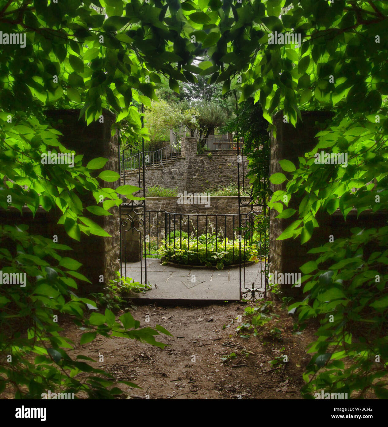 Chemin dans les bois d'un jardin en contrebas Banque D'Images