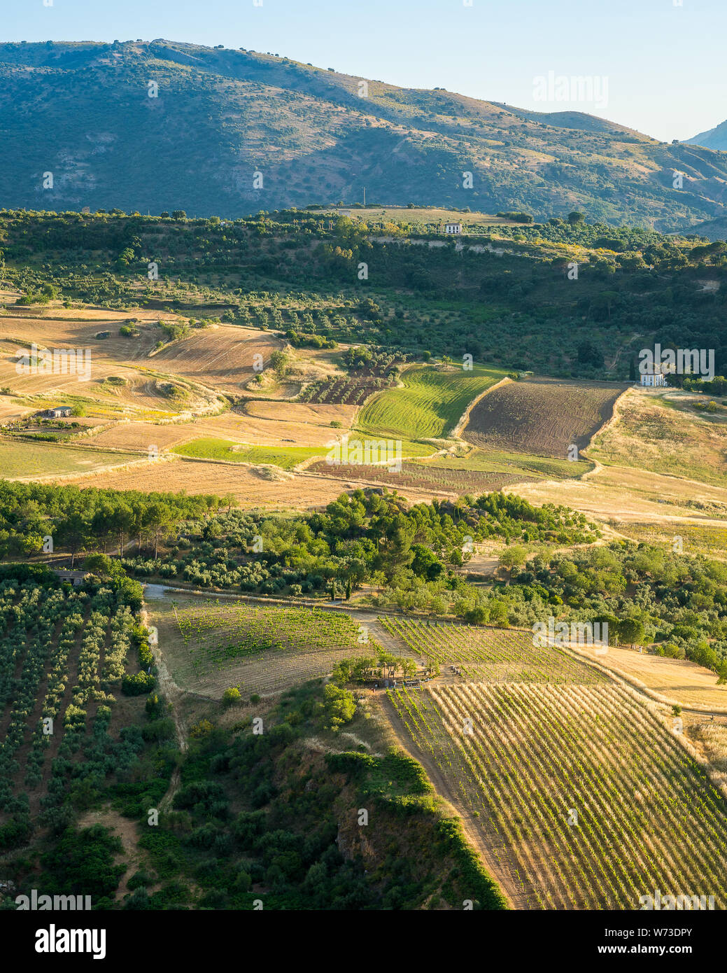 Le magnifique paysage entourant Ronda, Province de Malaga, Andalousie, espagne. Banque D'Images