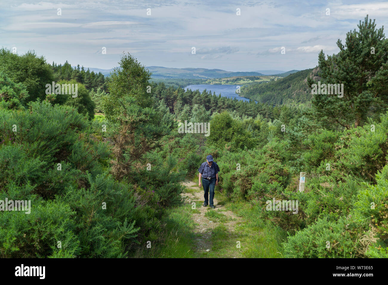 Les marcheurs en Ledmore annonce Migdale Woodland Trust, Nr Dornoch, Ecosse Banque D'Images