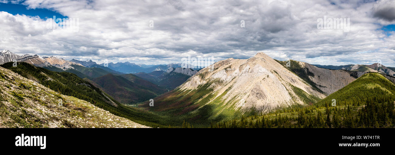 Sentier Sulphur Skyline, Jasper National Park, Alberta, Canada Banque D'Images