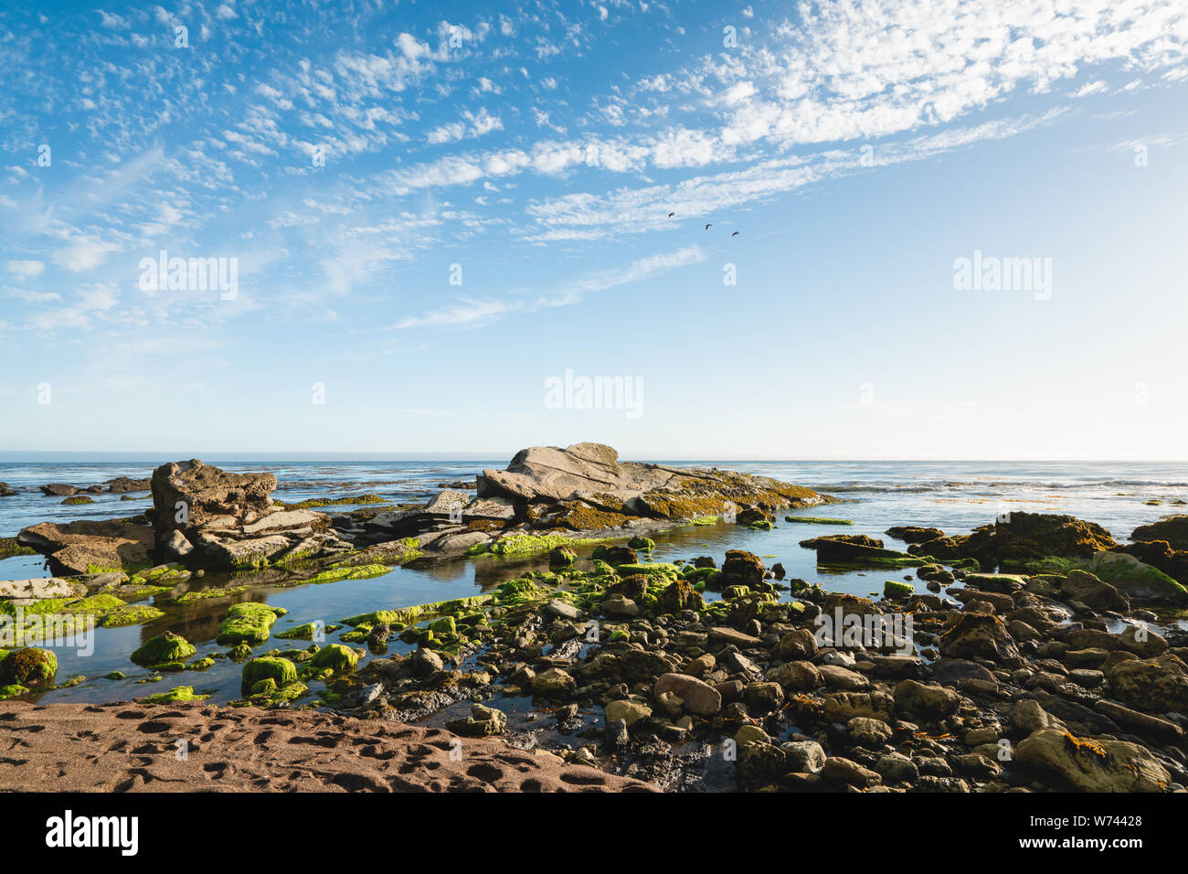 Coucher de soleil marée, Eldwayen Ocean Park, Pismo Beach, Californie Banque D'Images